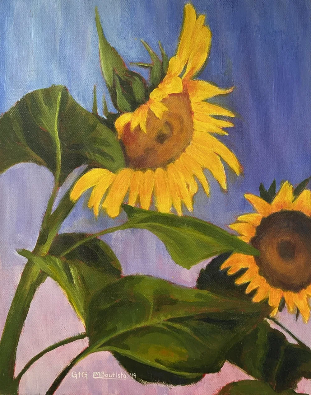 Summer Beauties