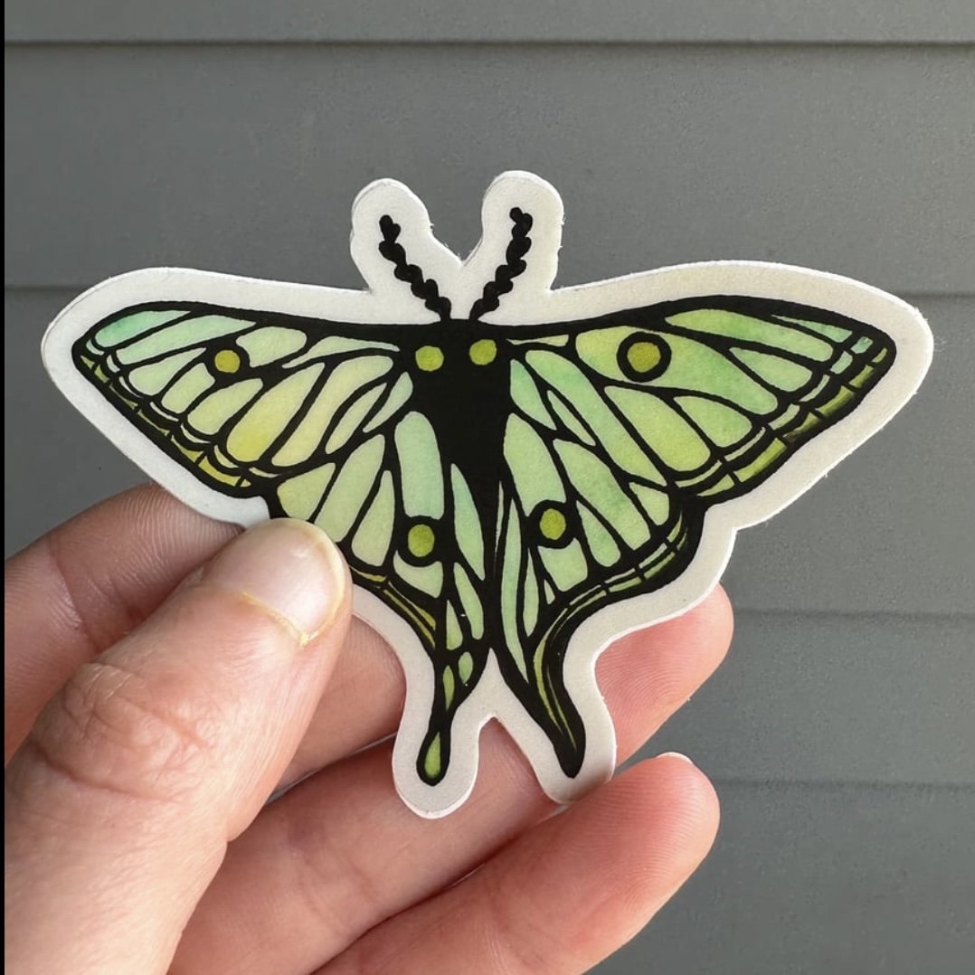 Die Cut Spanish Moon Moth Sticker