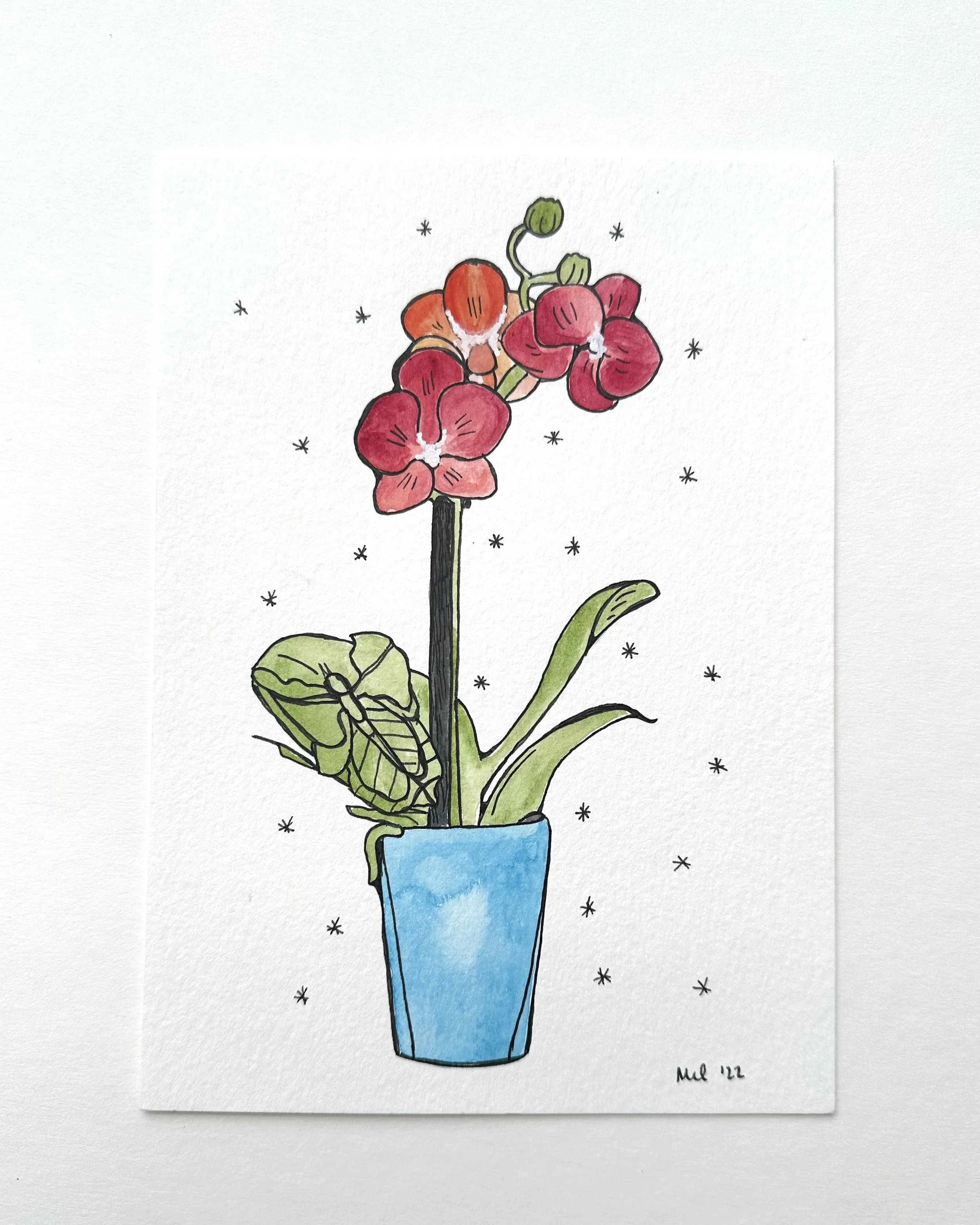 Orchid and Leaf Bug Original Drawing 5x7