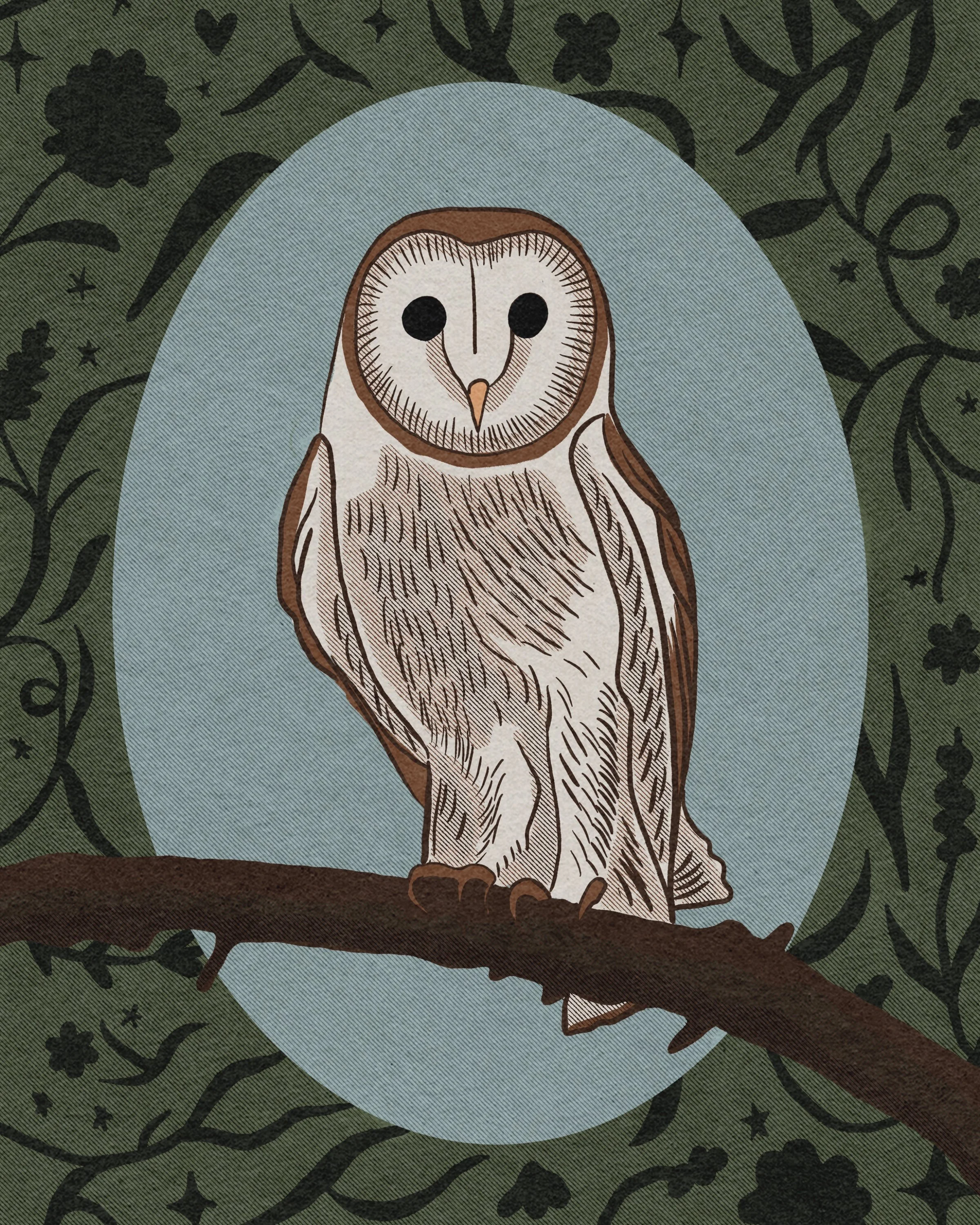 Barn Owl Portrait 2025