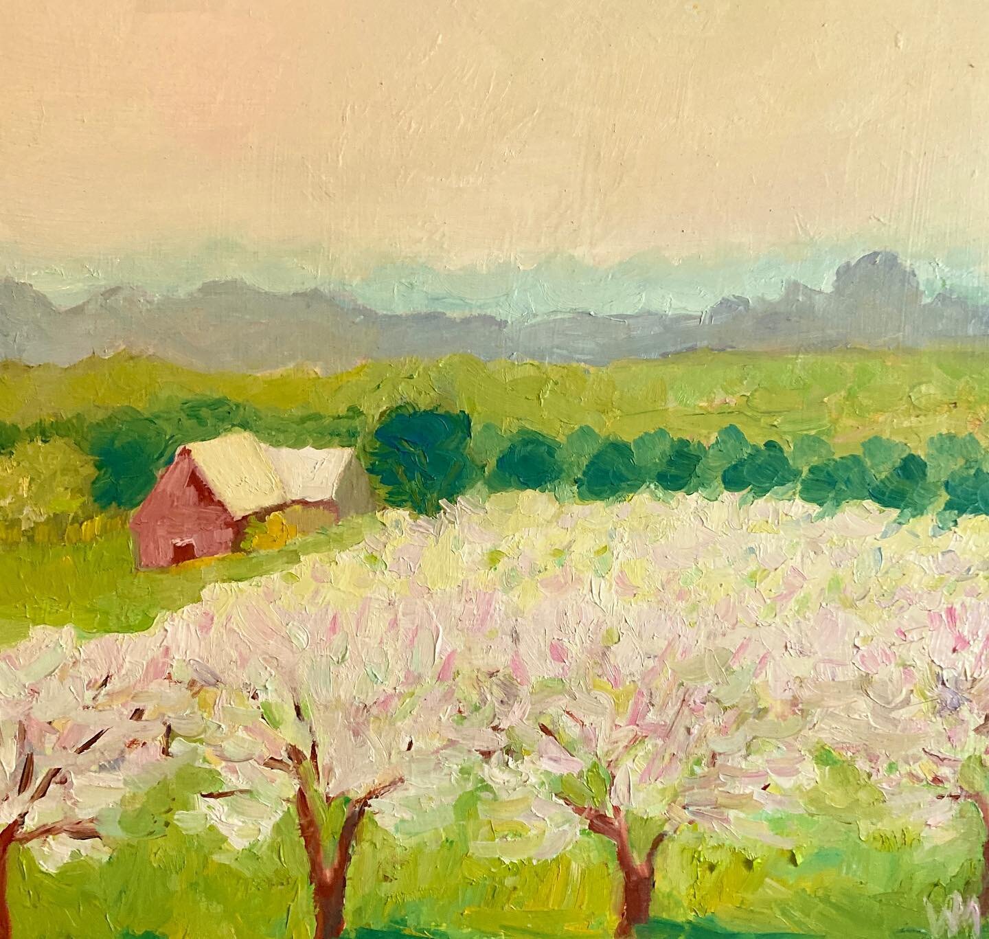 Cherry Hill Orchard
10x10, oil on birch

White, mauve and gray green petals float
About the gnarled trunk
May is warm and showers us with 
Softly covered hills of pastel.