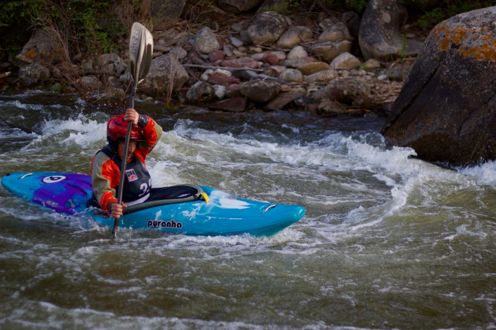 slaugterhouse race.JPEG