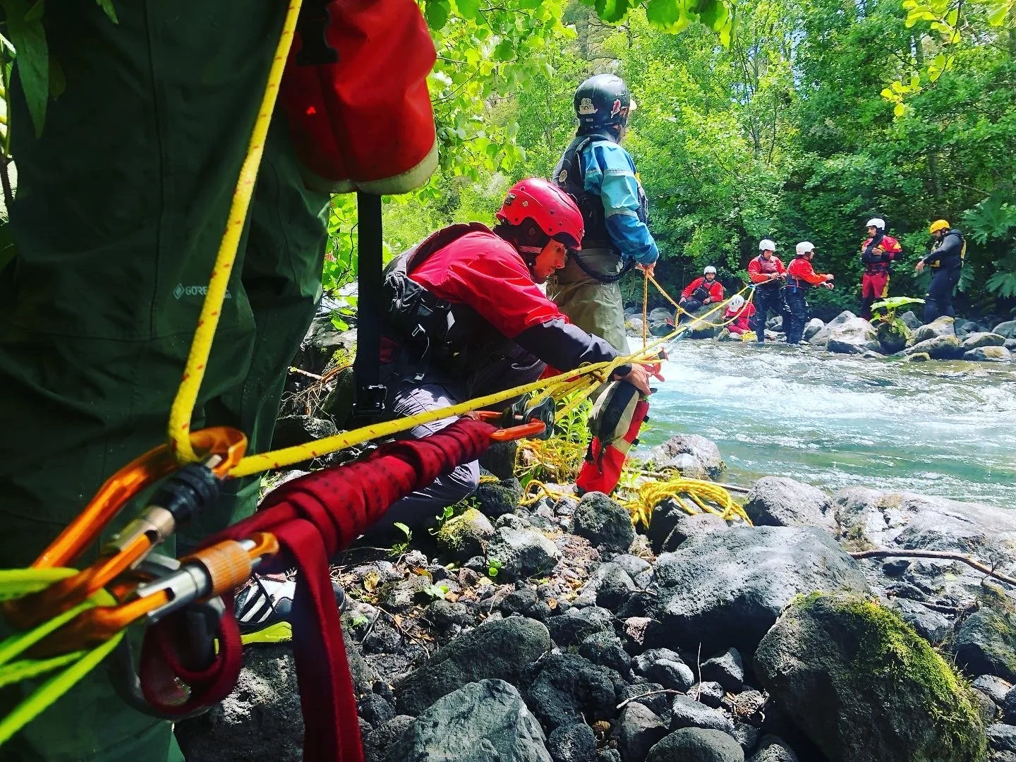 E24637FE-7D0E-499A-B8A2-99329D02BE60 2.JPG