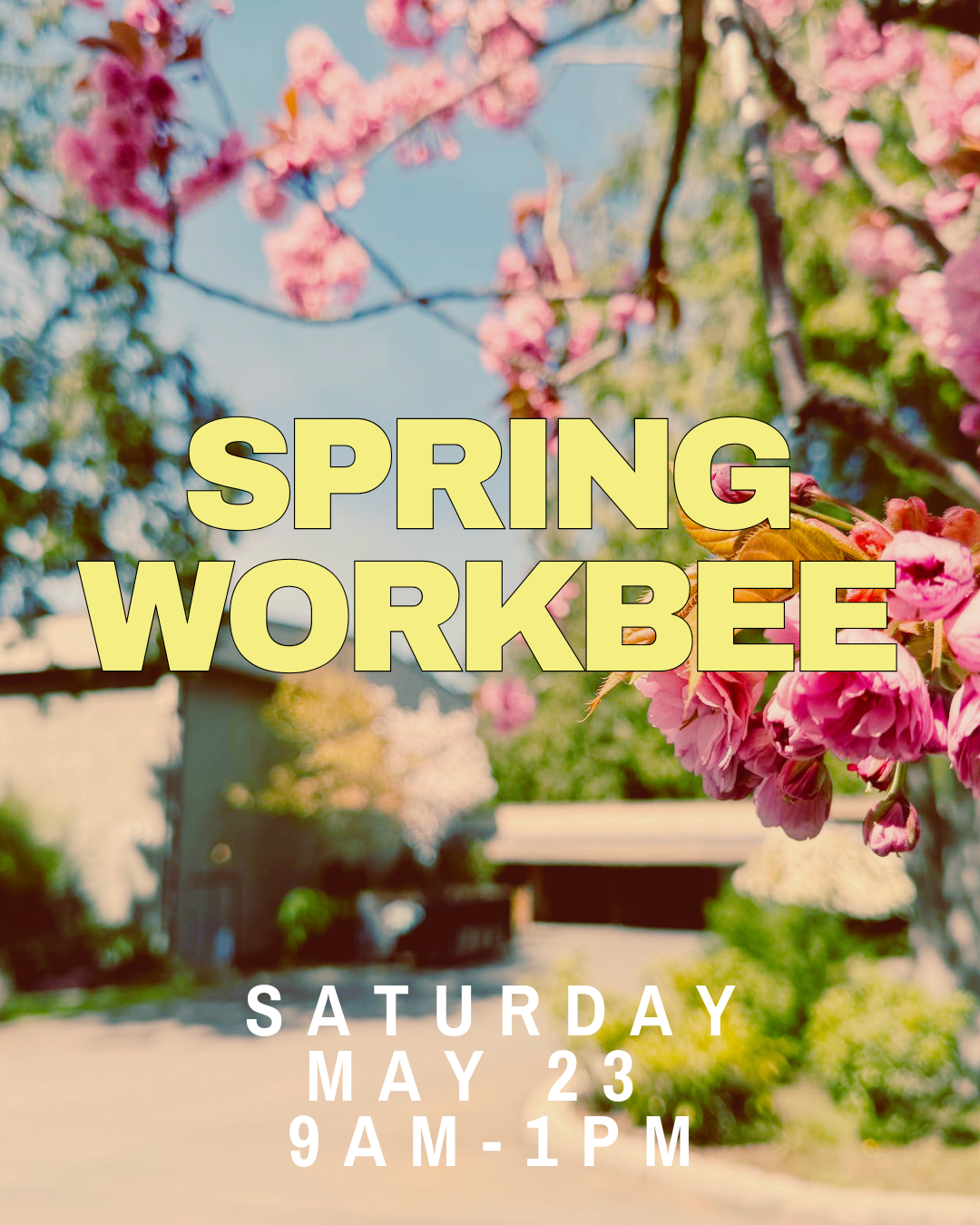 Spring Workbee