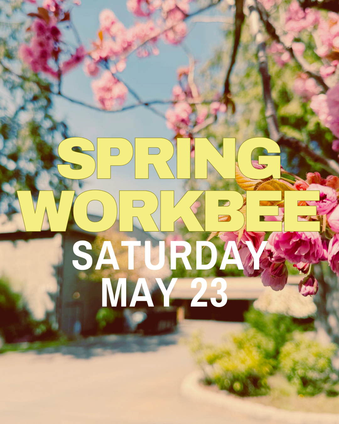 Spring workbee.png
