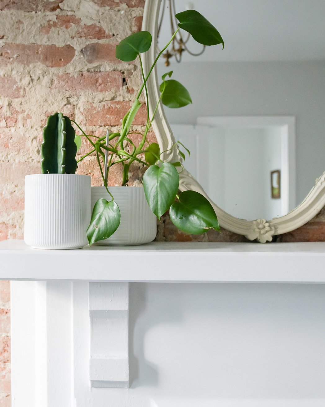 29Tanari_TWENTYNINE_NORTHWEST_STUDIO_SOCIAL-3604(1) (1).JPG