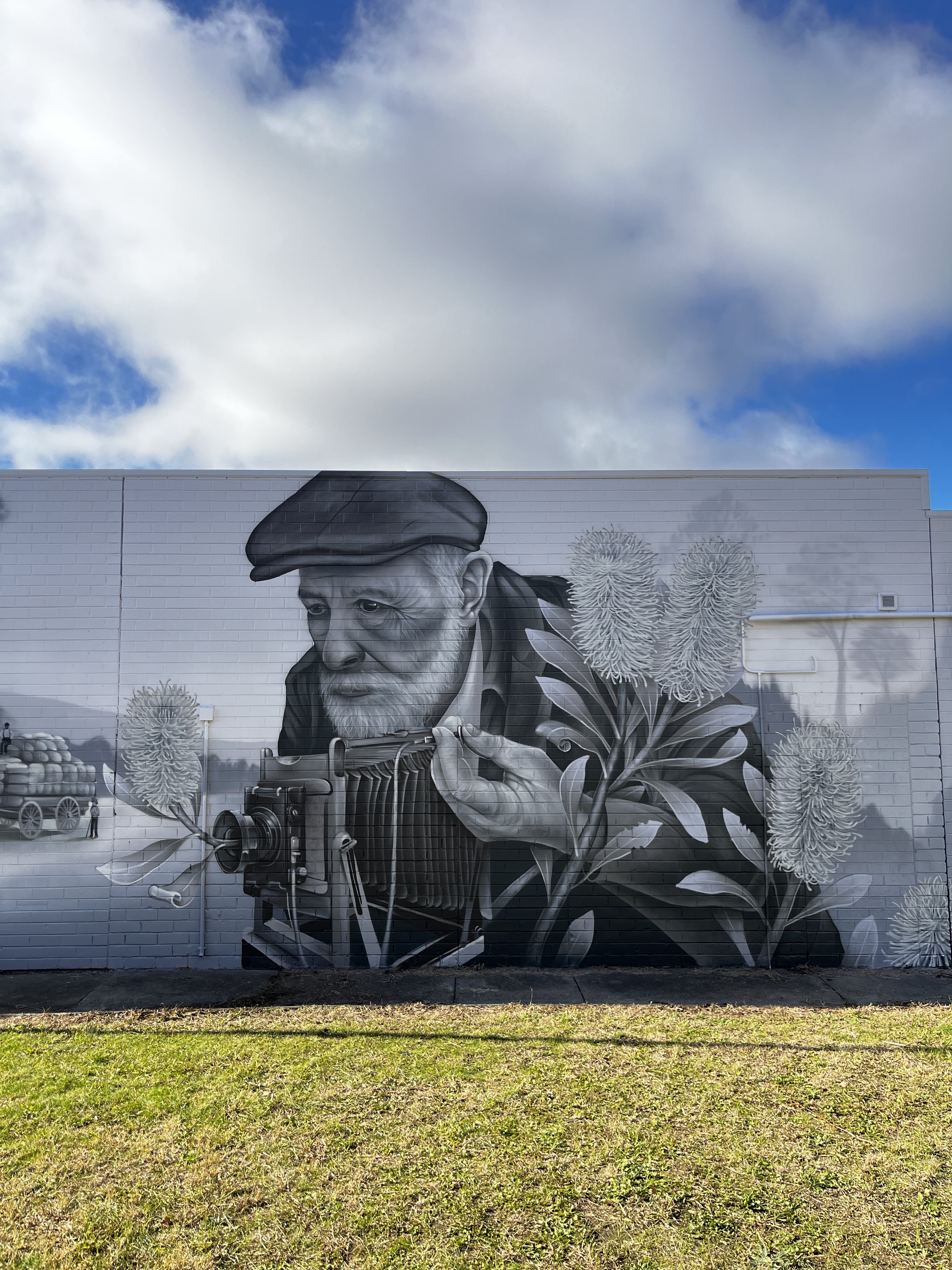 Corryong mural commission, towong council, 2025