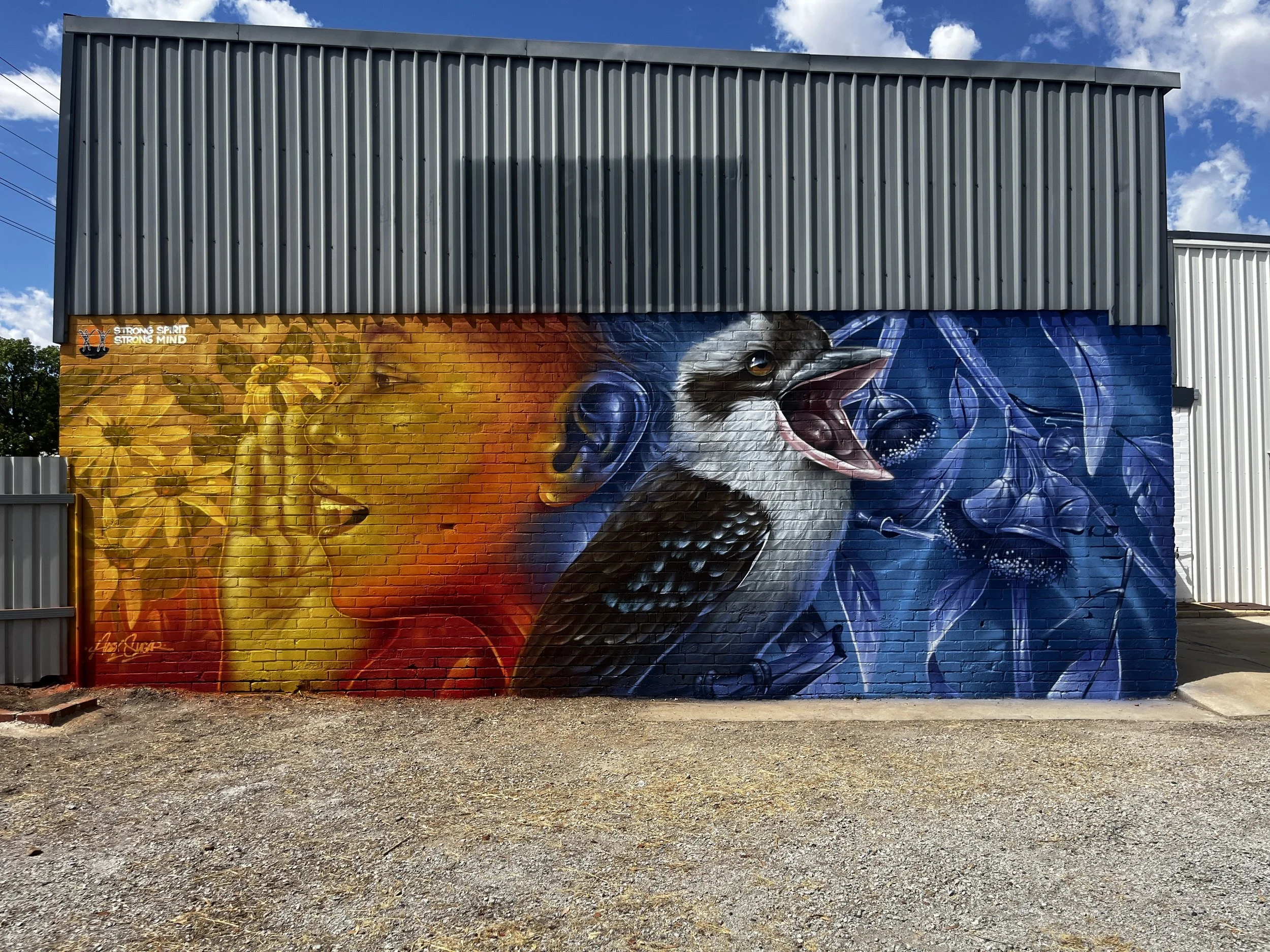 Mural commission, Perth - Made you look media 2026