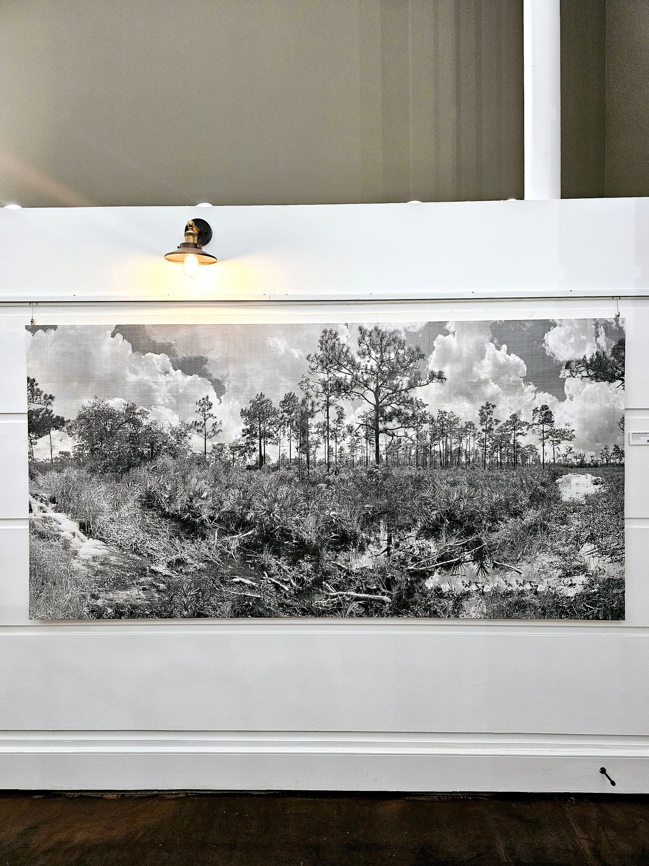 Hal Scott Regional Preserve and Park