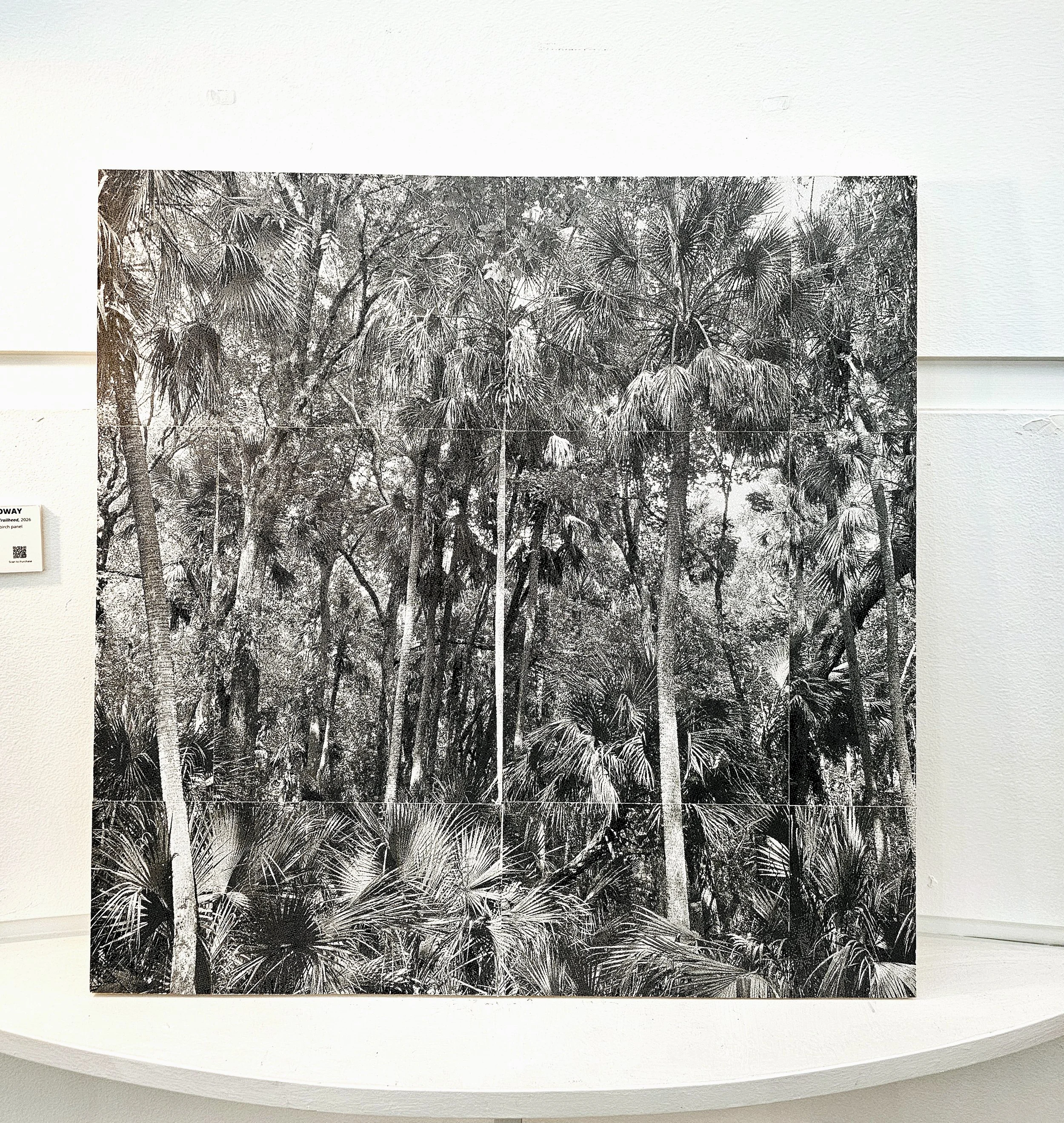 Lake Norris Conservation Area East Trailhead