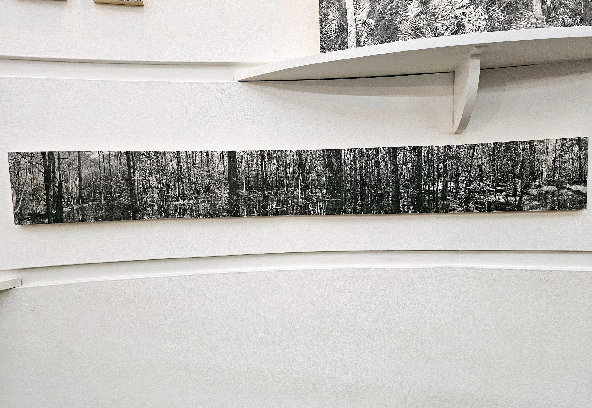 Congaree National Park