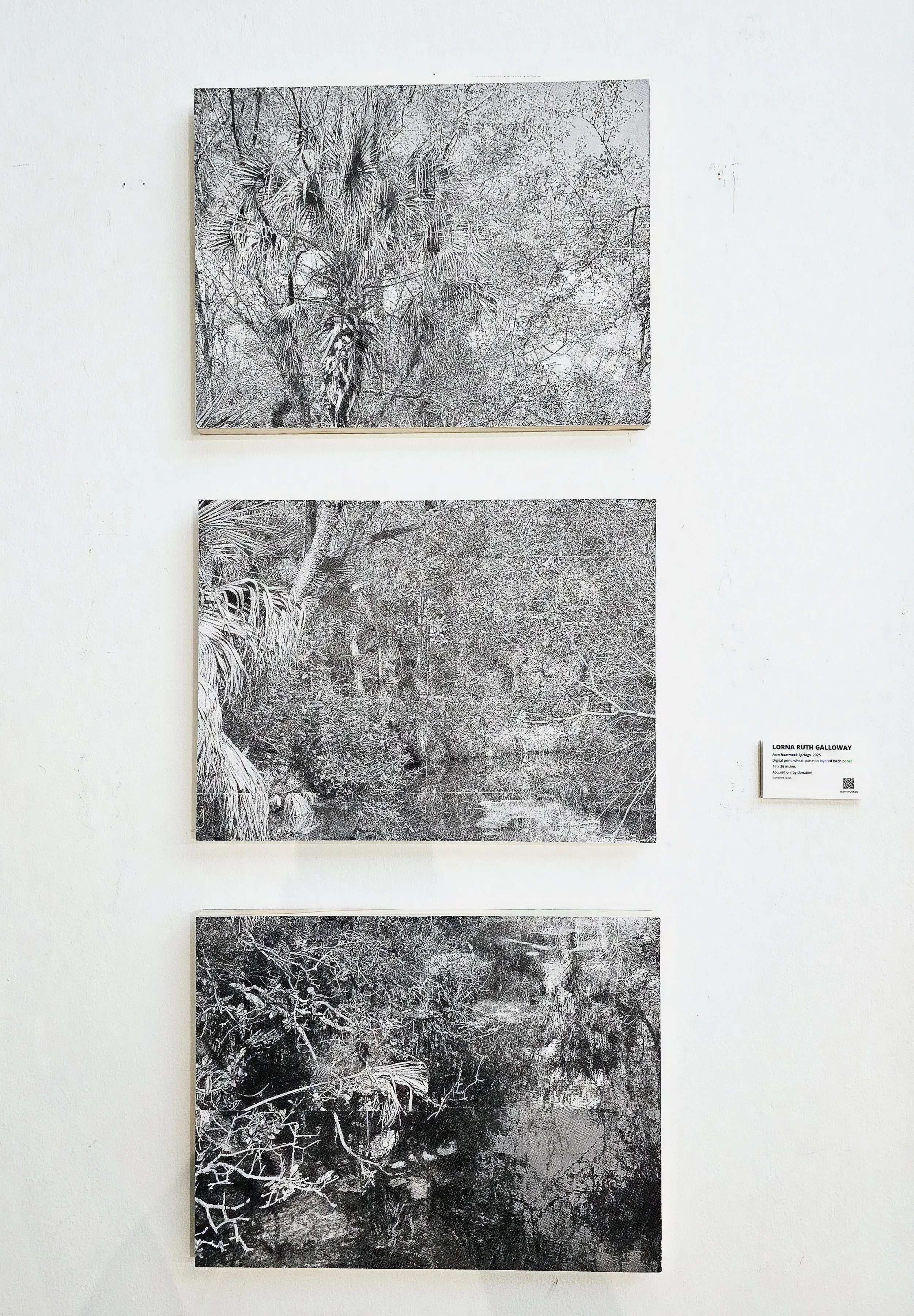 Fern Hammock Springs