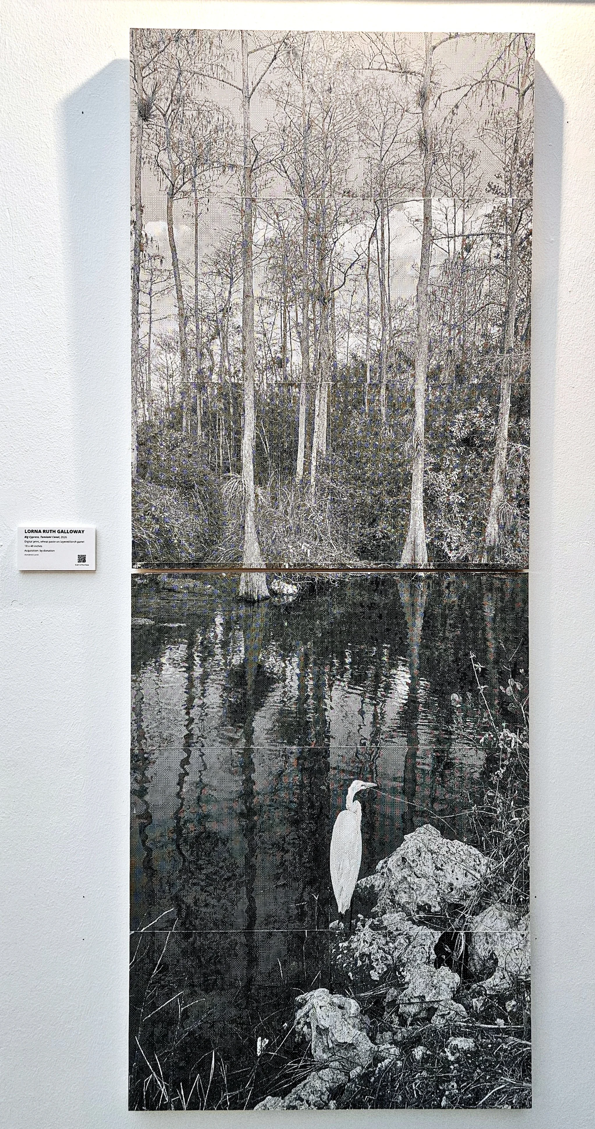 Big Cypress, Tamiami Canal