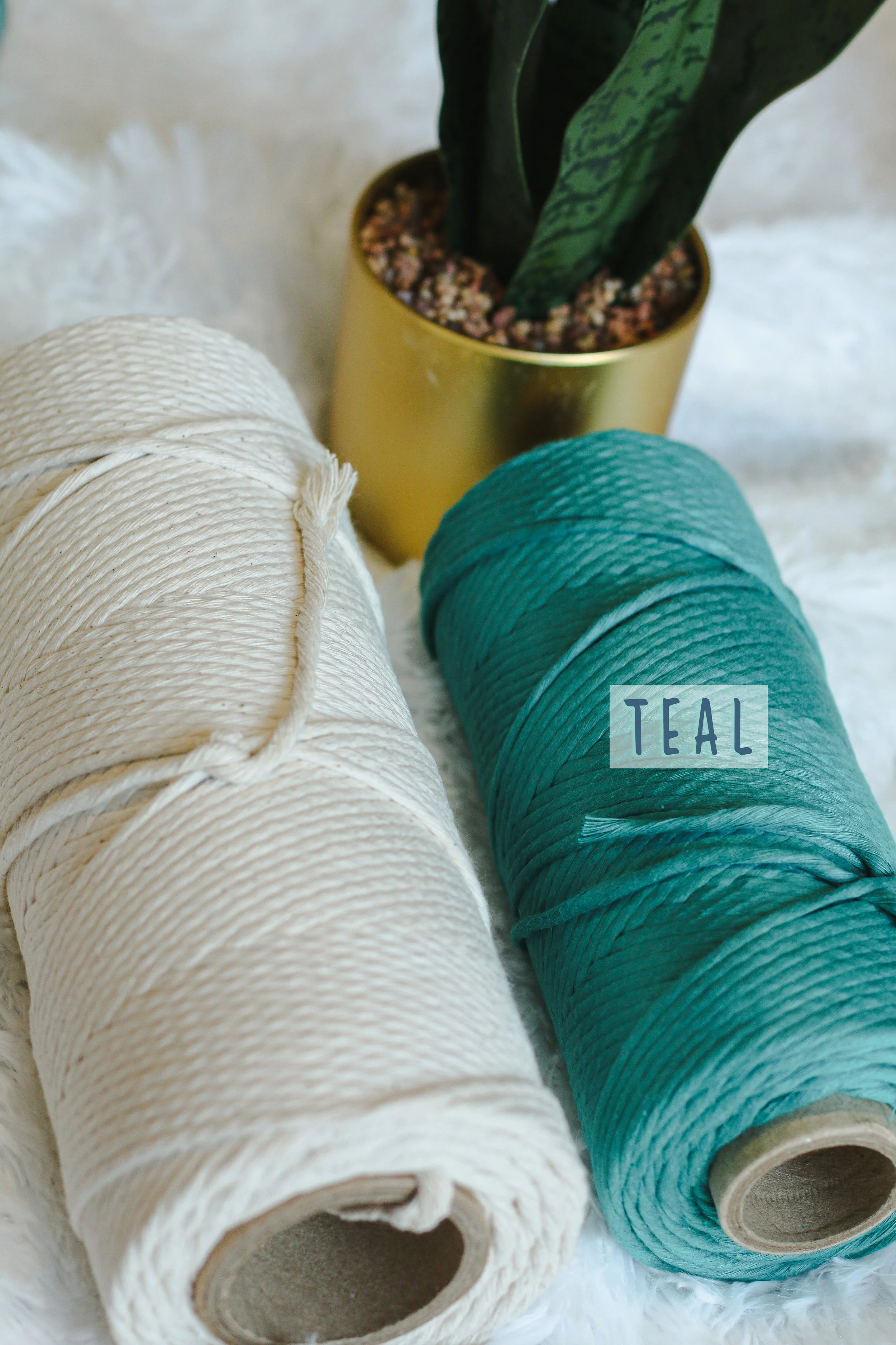 Threads-2396_text.jpg