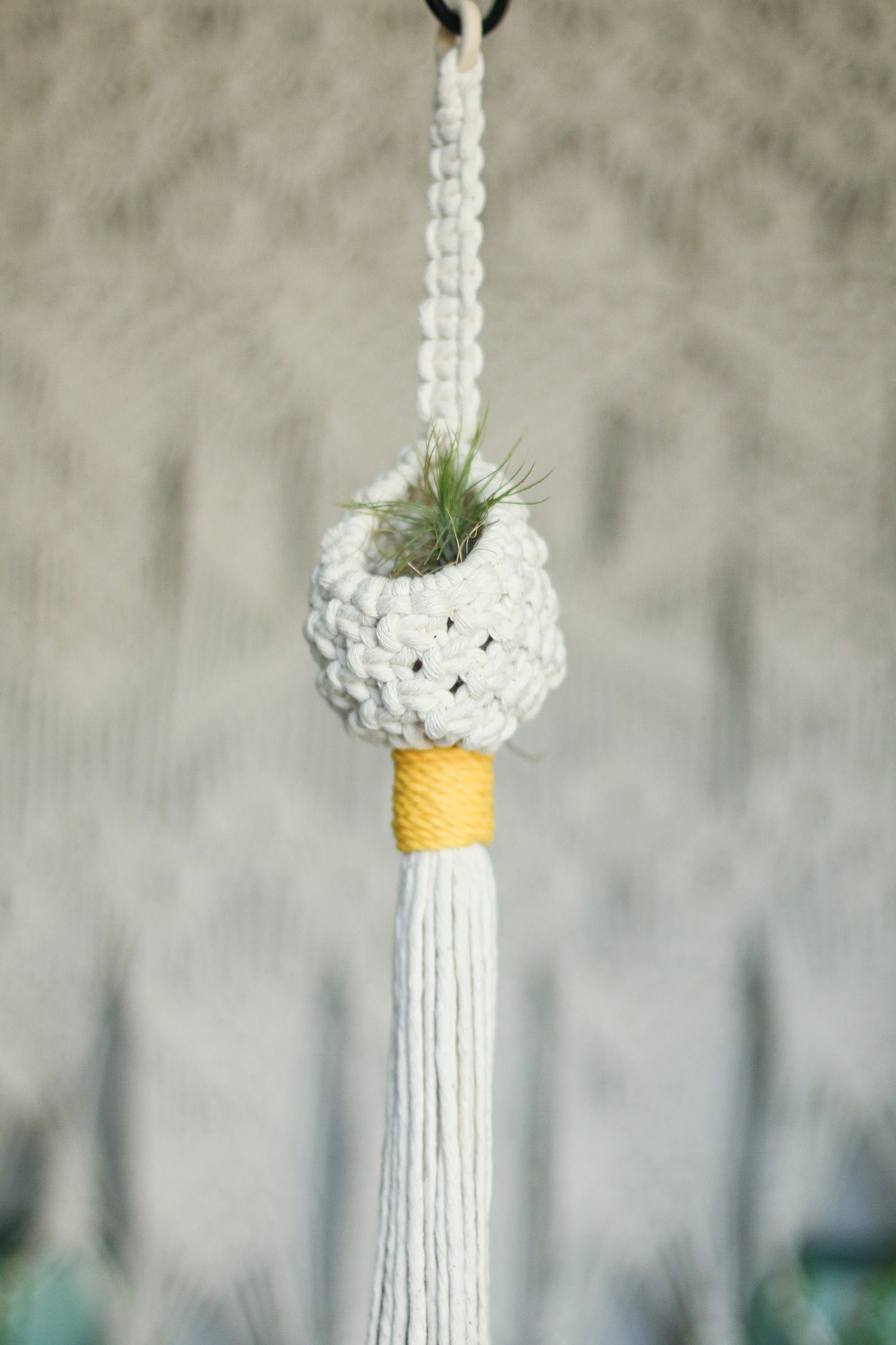 Threads-0183.jpg