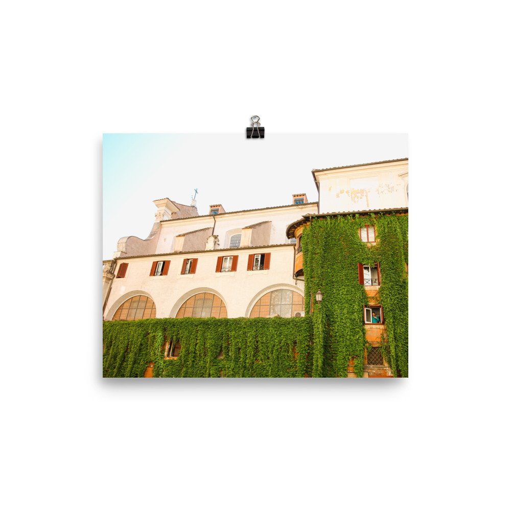 enhanced-matte-paper-poster-(in)-8x10-transparent-63eeefc7dcb7f.jpg