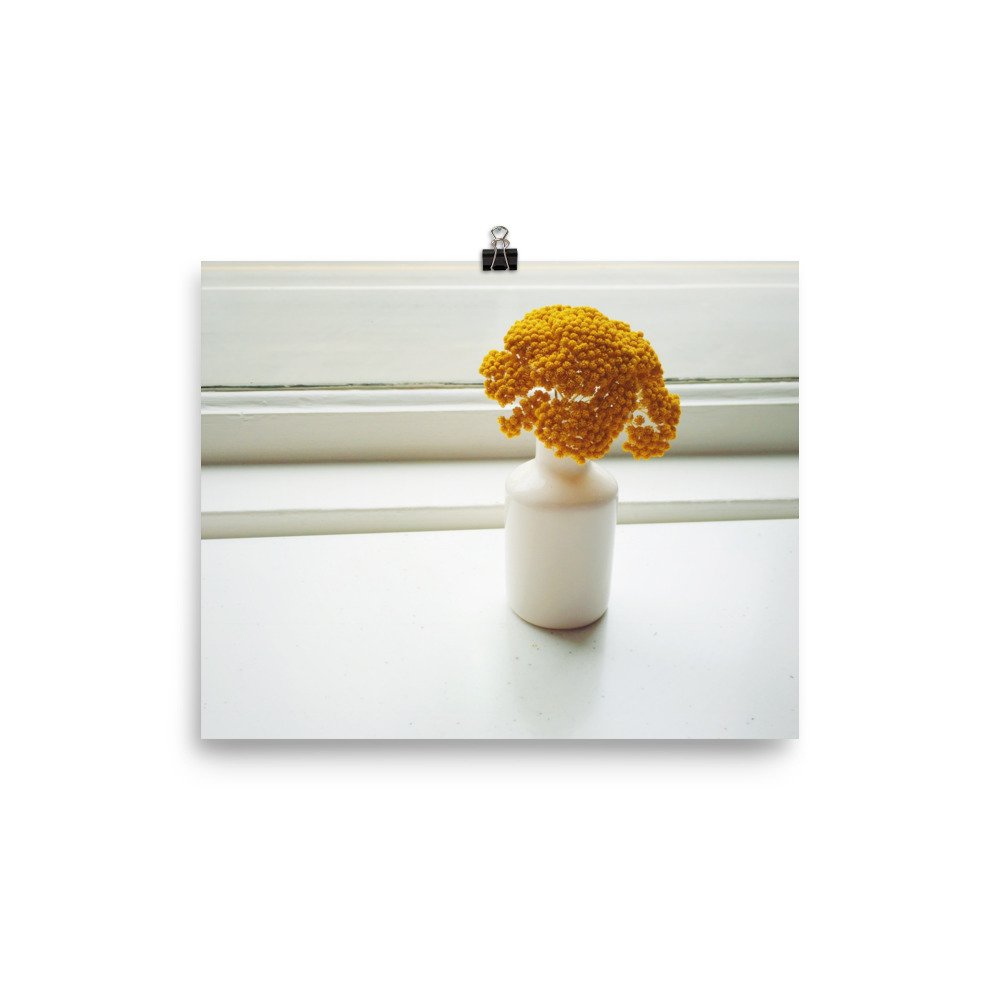 enhanced-matte-paper-poster-(in)-8x10-transparent-63eef1fc83eaa.jpg