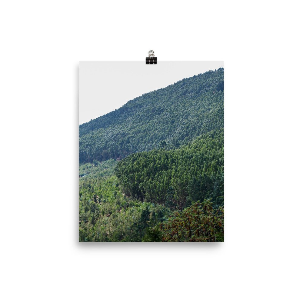 enhanced-matte-paper-poster-(in)-8x10-transparent-63eef3cb6472b.jpg
