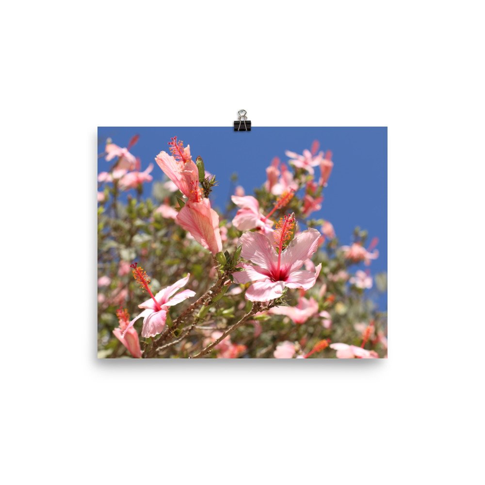 enhanced-matte-paper-poster-(in)-8x10-transparent-63eefc2f0772f.jpg