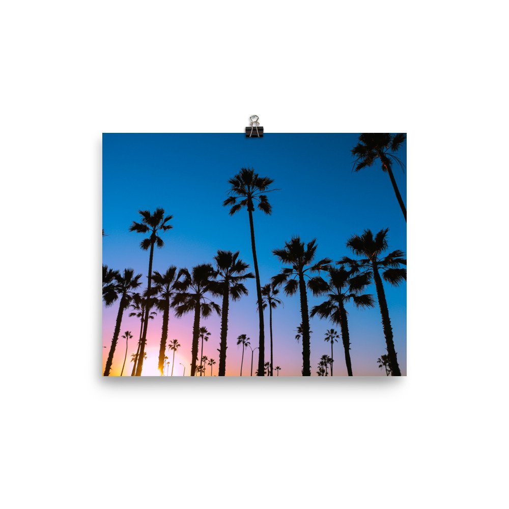 enhanced-matte-paper-poster-(in)-8x10-transparent-63eefcfd5429c.jpg