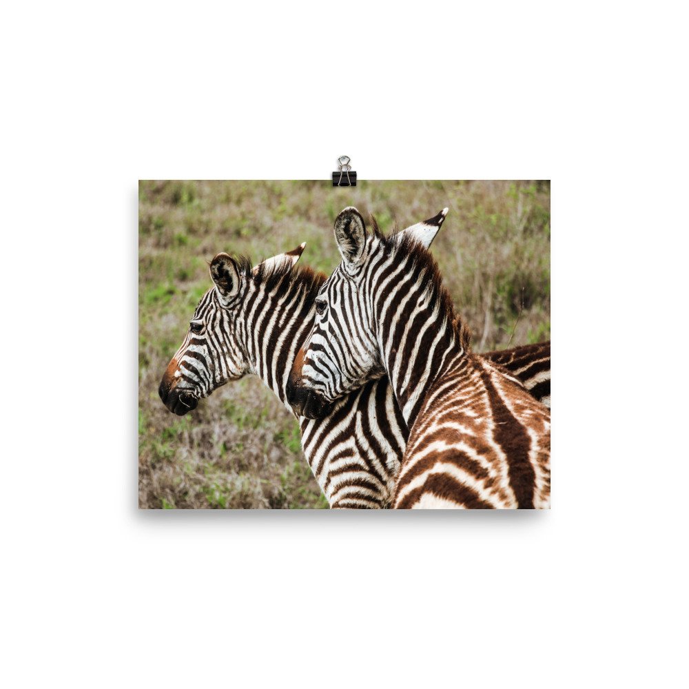 enhanced-matte-paper-poster-(in)-8x10-transparent-63eeff7866441.jpg