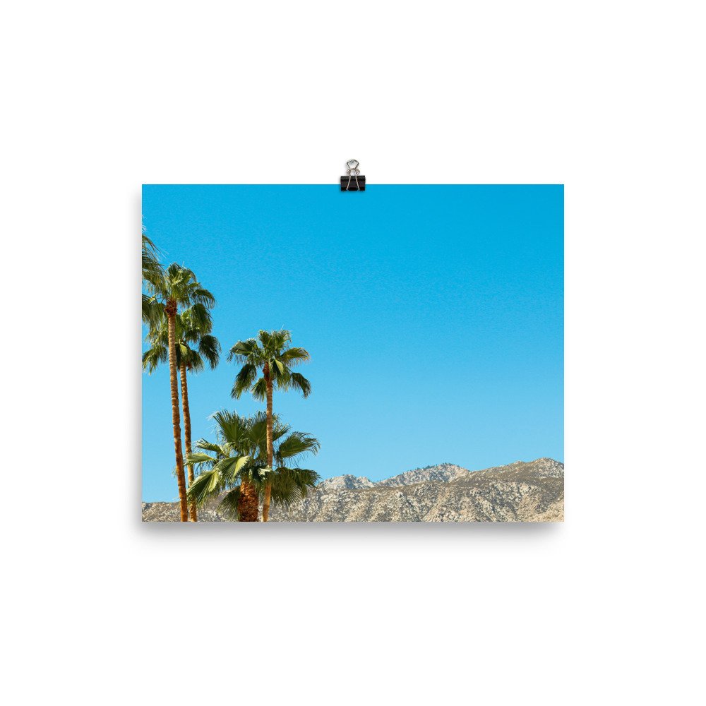 enhanced-matte-paper-poster-(in)-8x10-transparent-63ef01c375acc.jpg