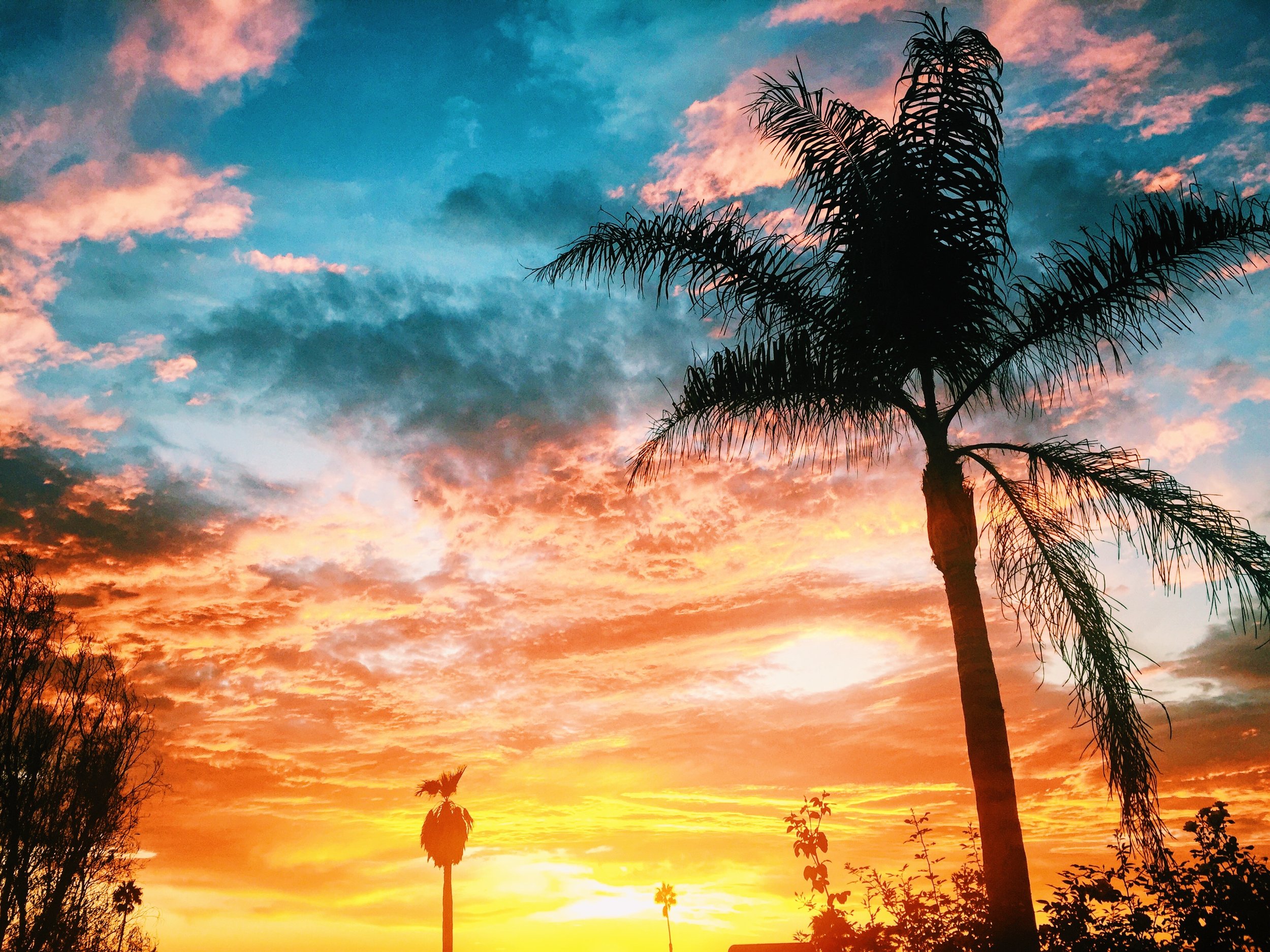 “In The Waiting”, Cardiff By the Sea, CA