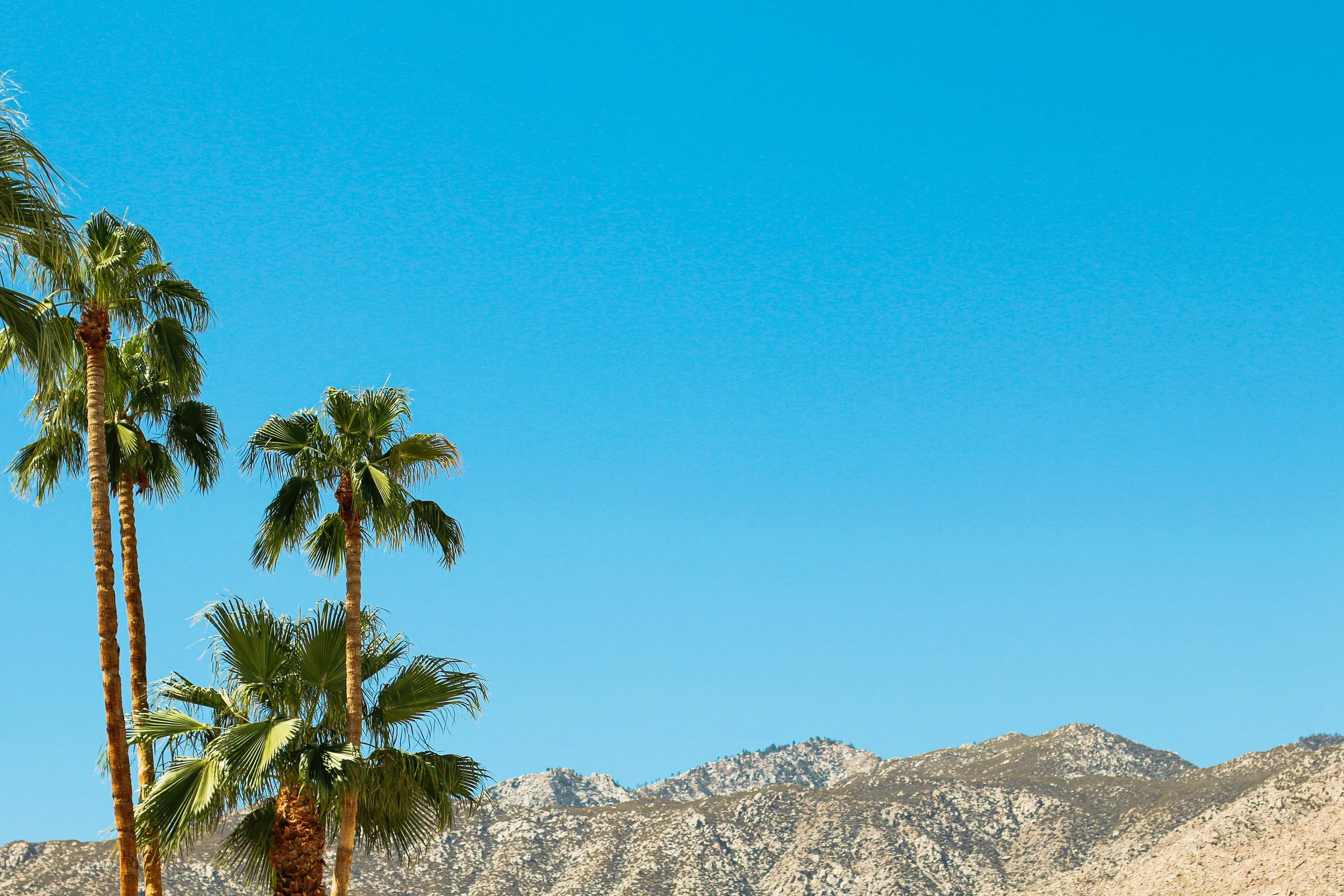 "Palm Springs", Palm Springs, CA