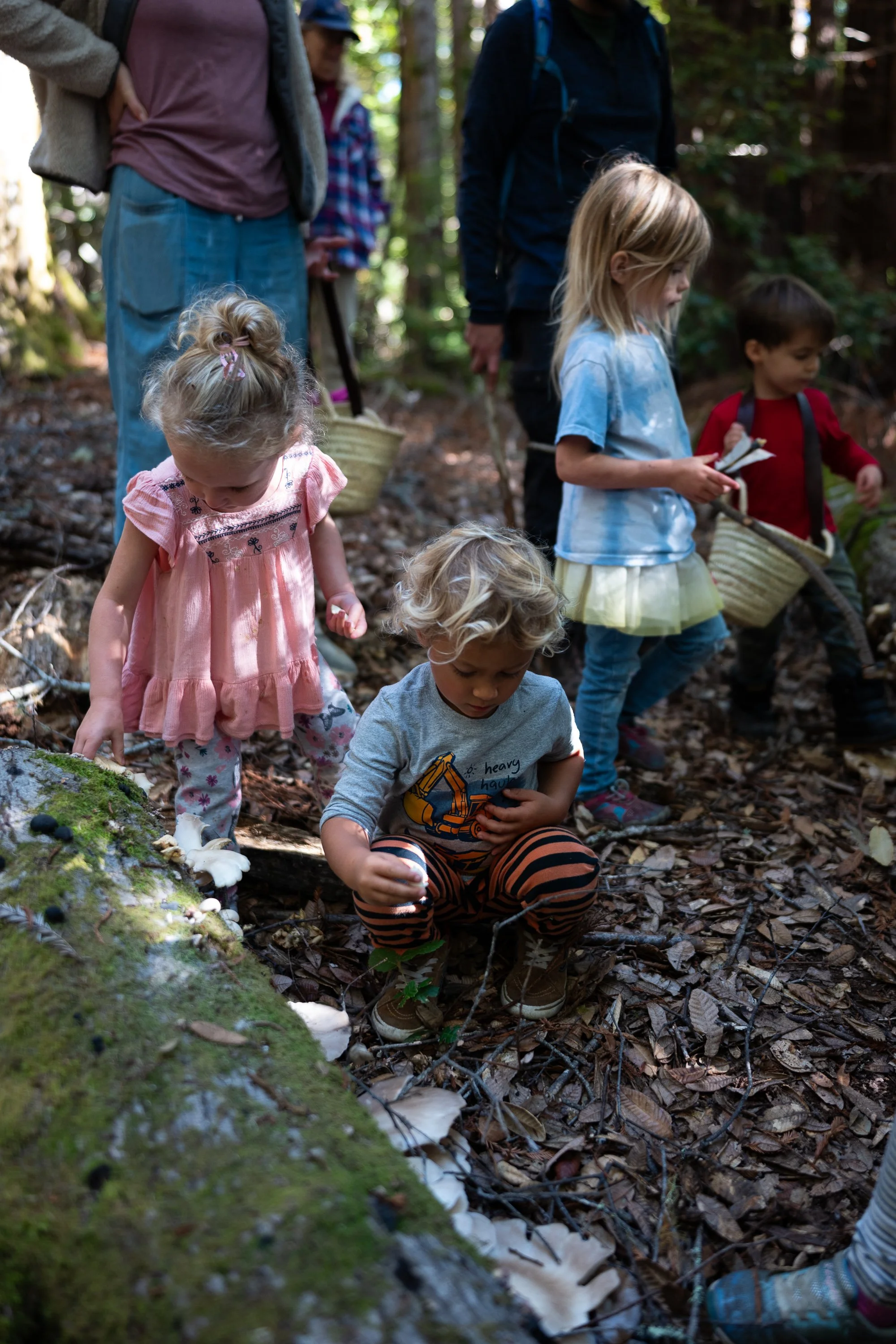 Forager School Forest Forage 2023 (72 of 81).jpg
