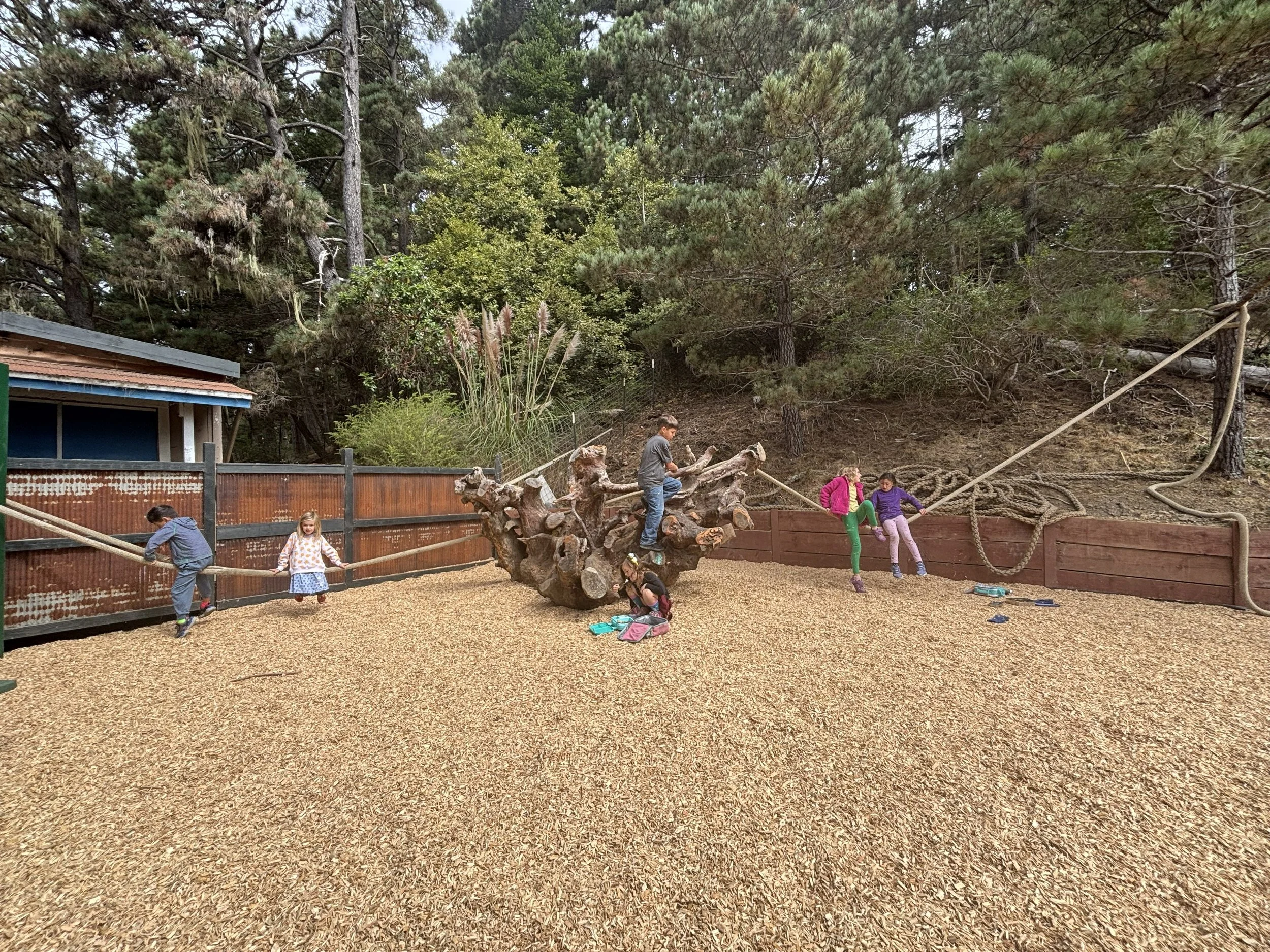 Forager Elementary- August/September Highlights