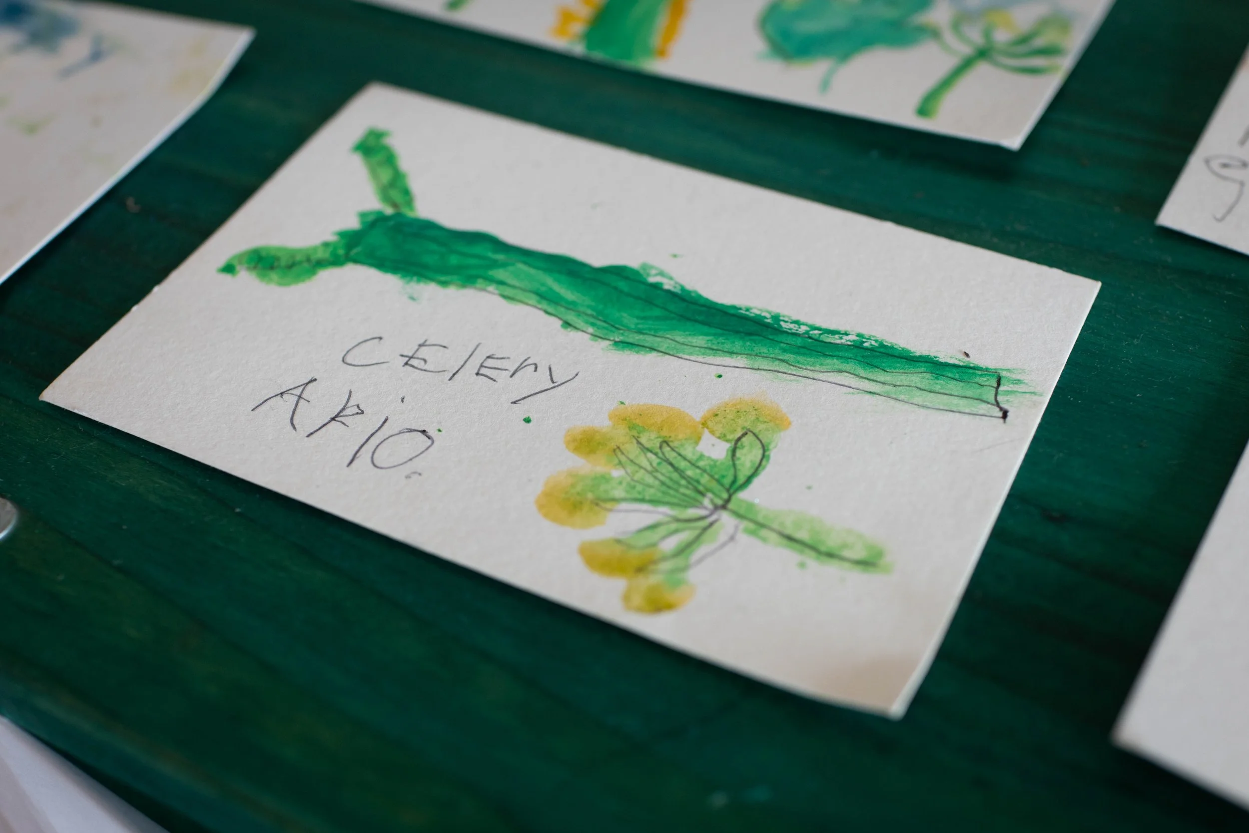 Spanish language class is taught by a native speaker and frequenrly integrated into other curricular topics.