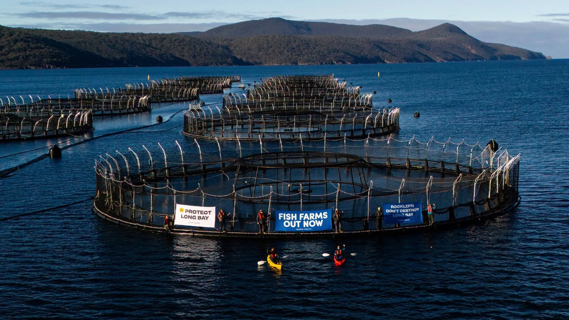 GUTTED: The Fight Against Tasmania’s Fish Farms