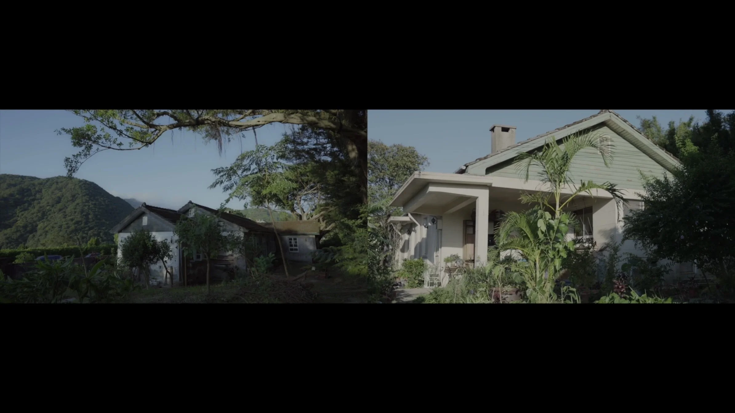 你夢見我時，我已醒來｜Awake Before Your Gaze