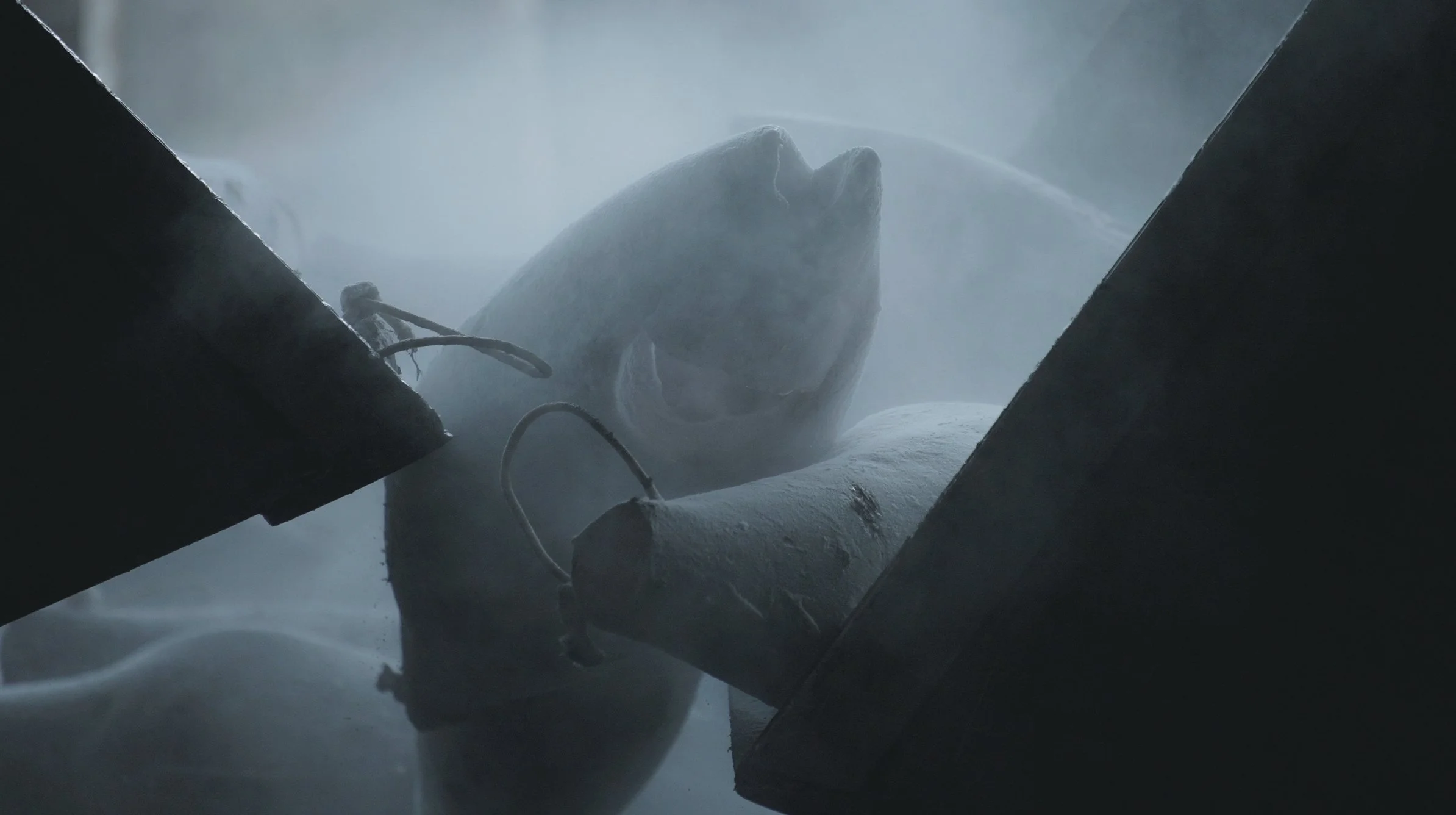 同一條船下｜On The Same Boat