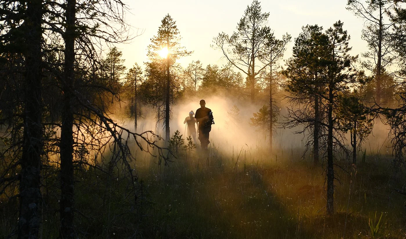 Två personer vandrar i en dimmig skog vid soluppgången eller solnedgången.