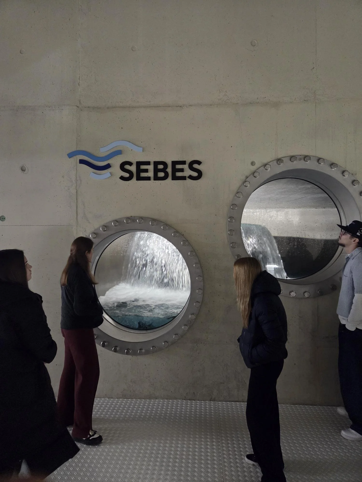 shared image (51).jpeg