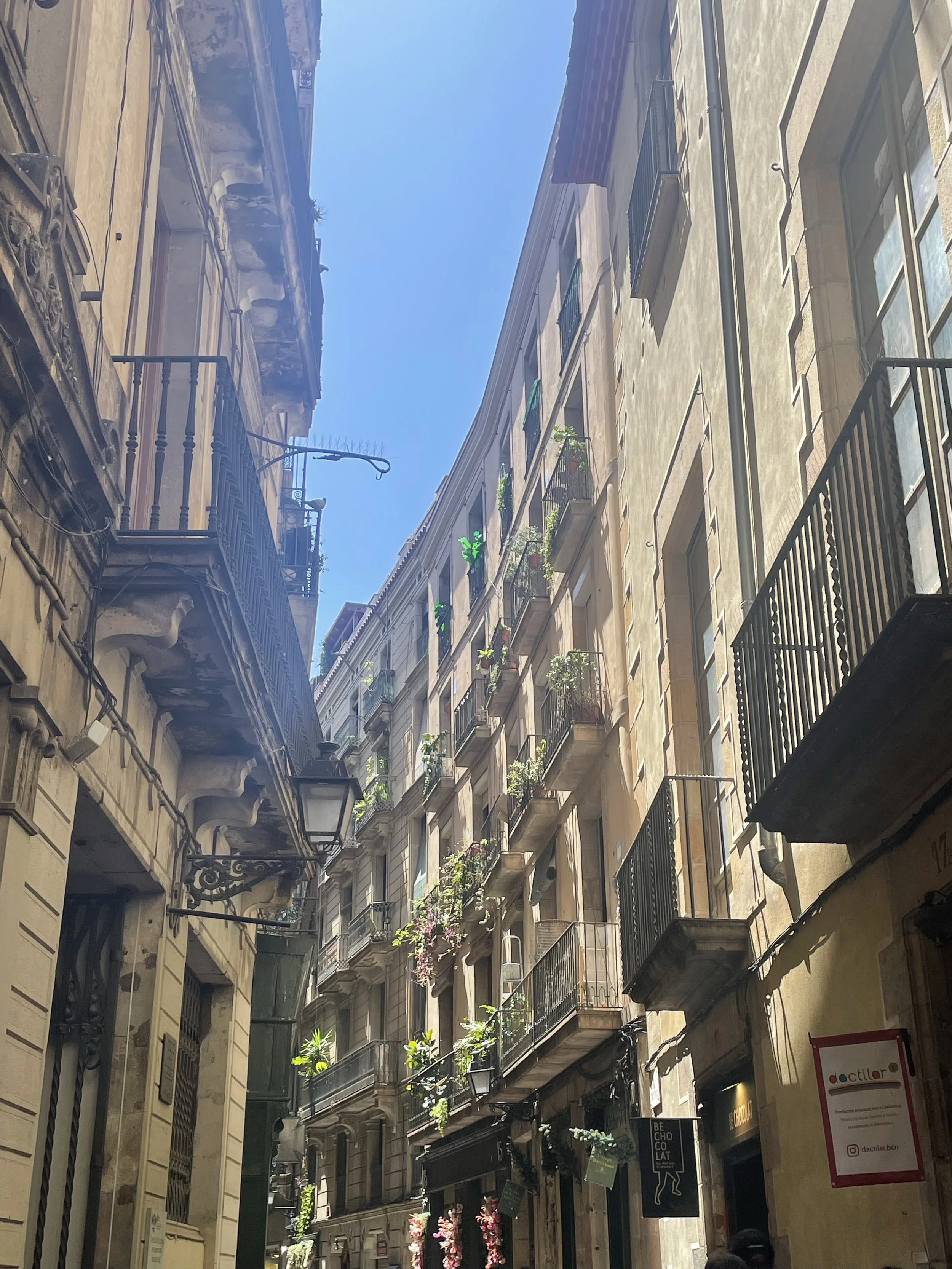 Image (2).jpg