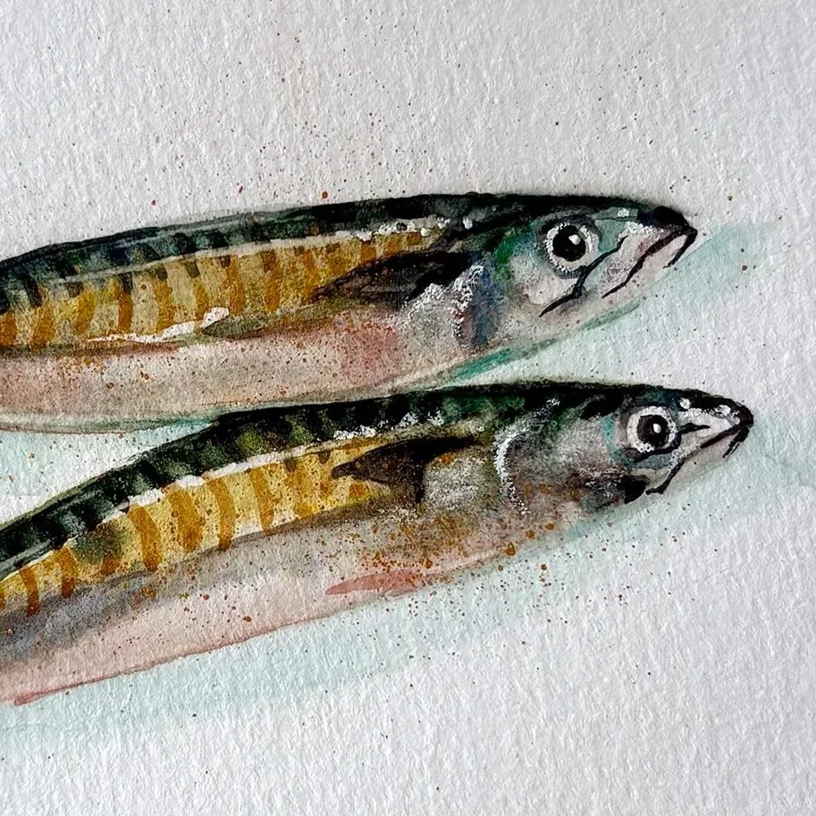 4.+Two+Mackerels_V2.jpg