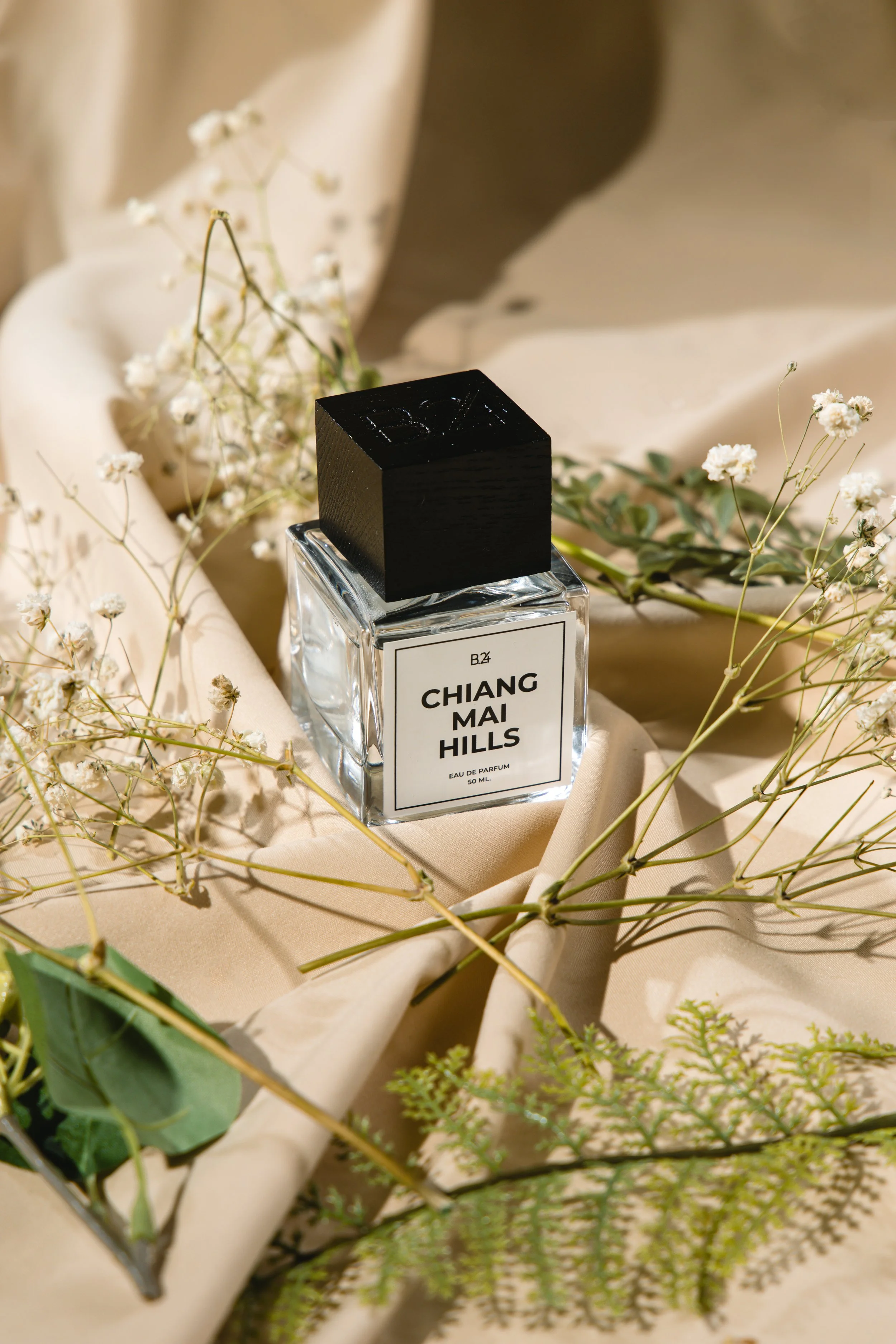 Chiang Mai Hills-11.jpg