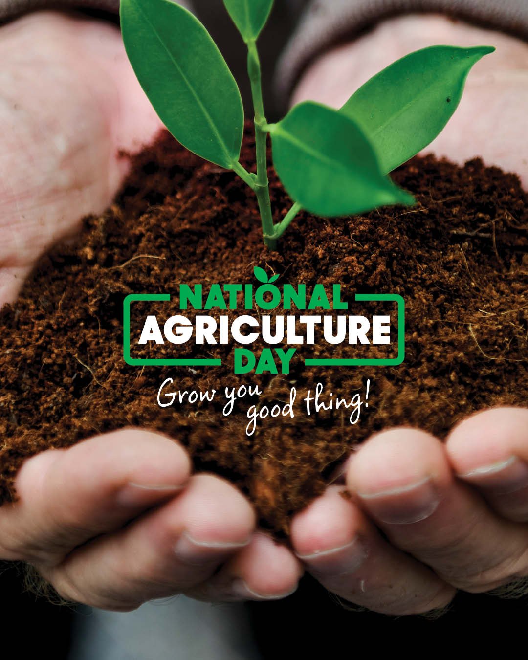 💚 National Ag Day &ndash; Friday, 21st November 💚

I&rsquo;m excited to share the visual identity I created for the National Farmers Federation&rsquo;s National Agriculture Day. The goal was to refresh the existing logo with a recognisable identity