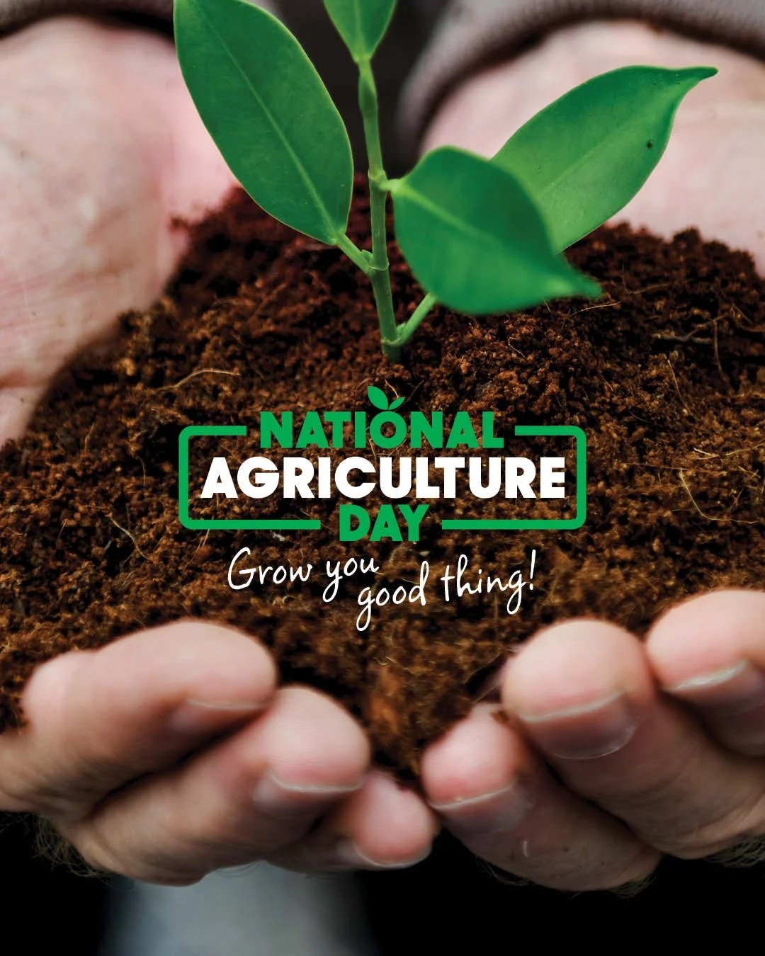 💚 National Ag Day &ndash; Friday, 21st November 💚

I&rsquo;m excited to share the visual identity I created for the National Farmers Federation&rsquo;s National Agriculture Day. The goal was to refresh the existing logo with a recognisable identity