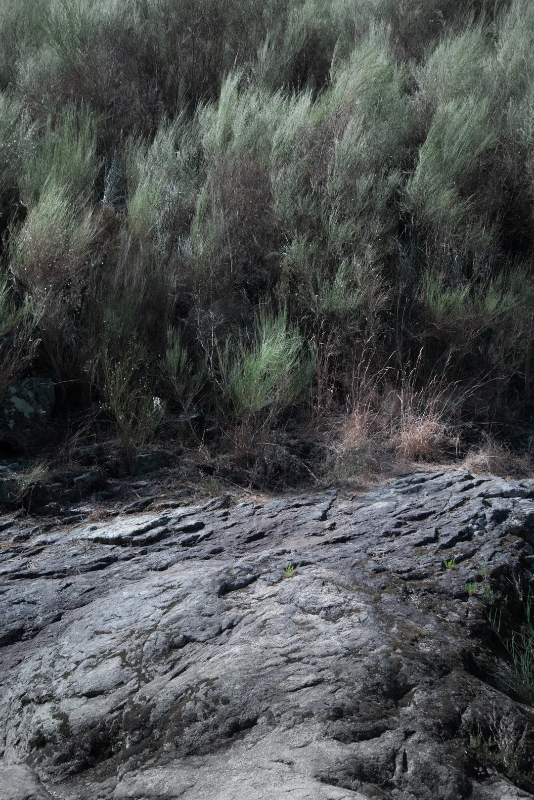 Portugal_Landscape (1 of 1)-Landscape_IG-2.jpg