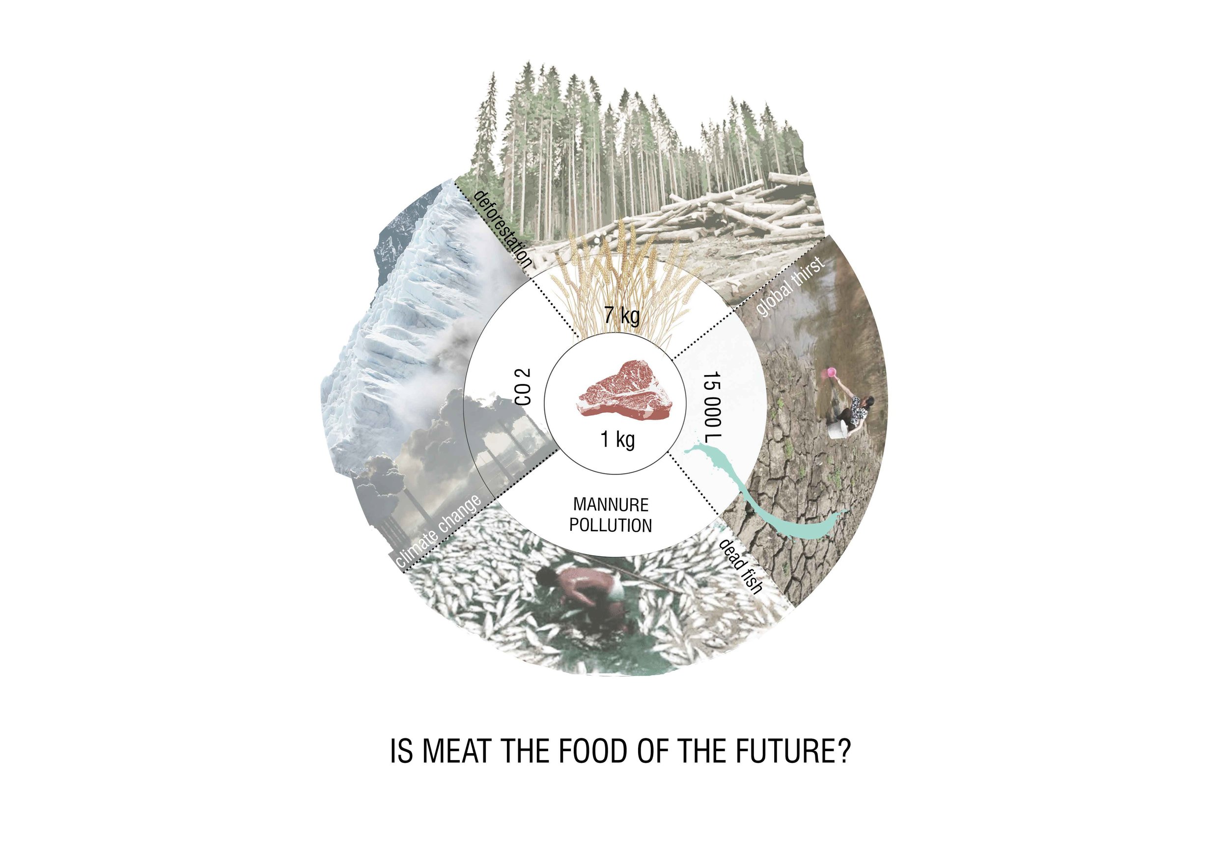 G06_PRESENTATION 4-01.jpg