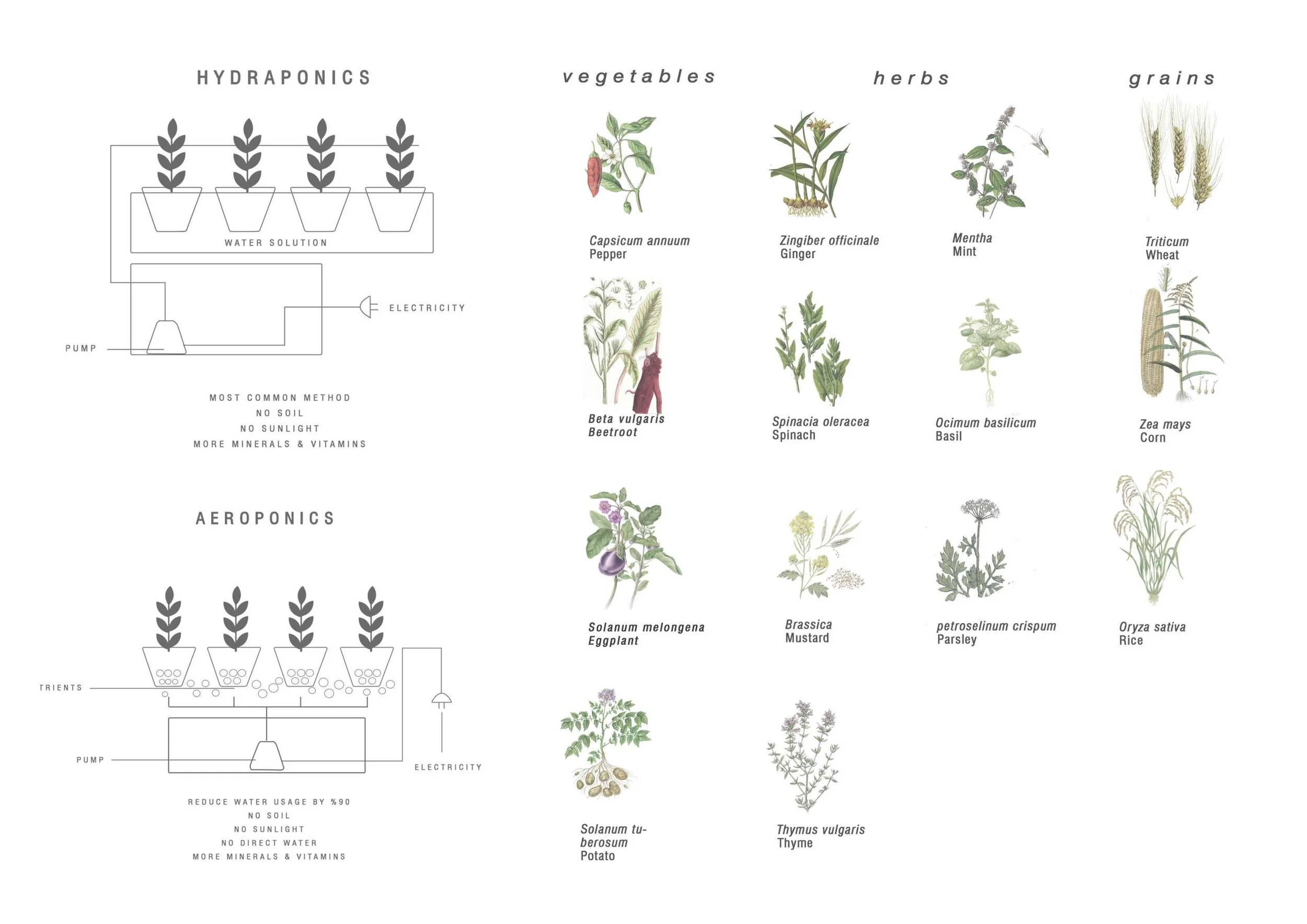 G06_PRESENTATION 15-01.jpg