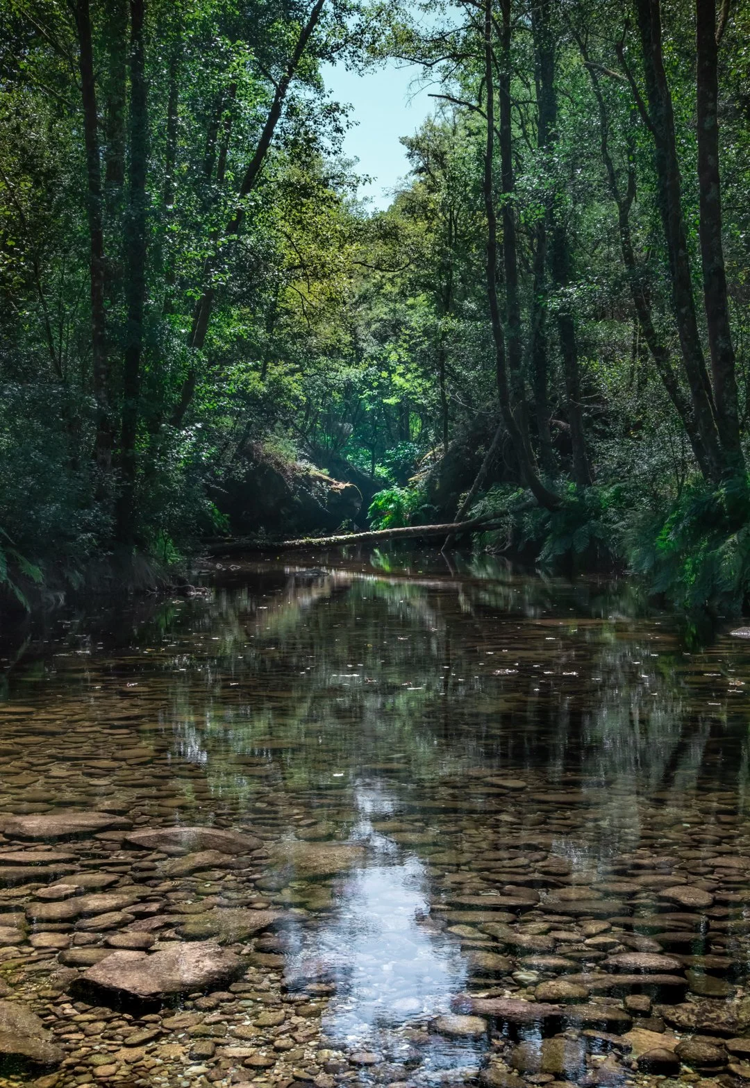 Portugal_Landscape (1 of 1).jpg