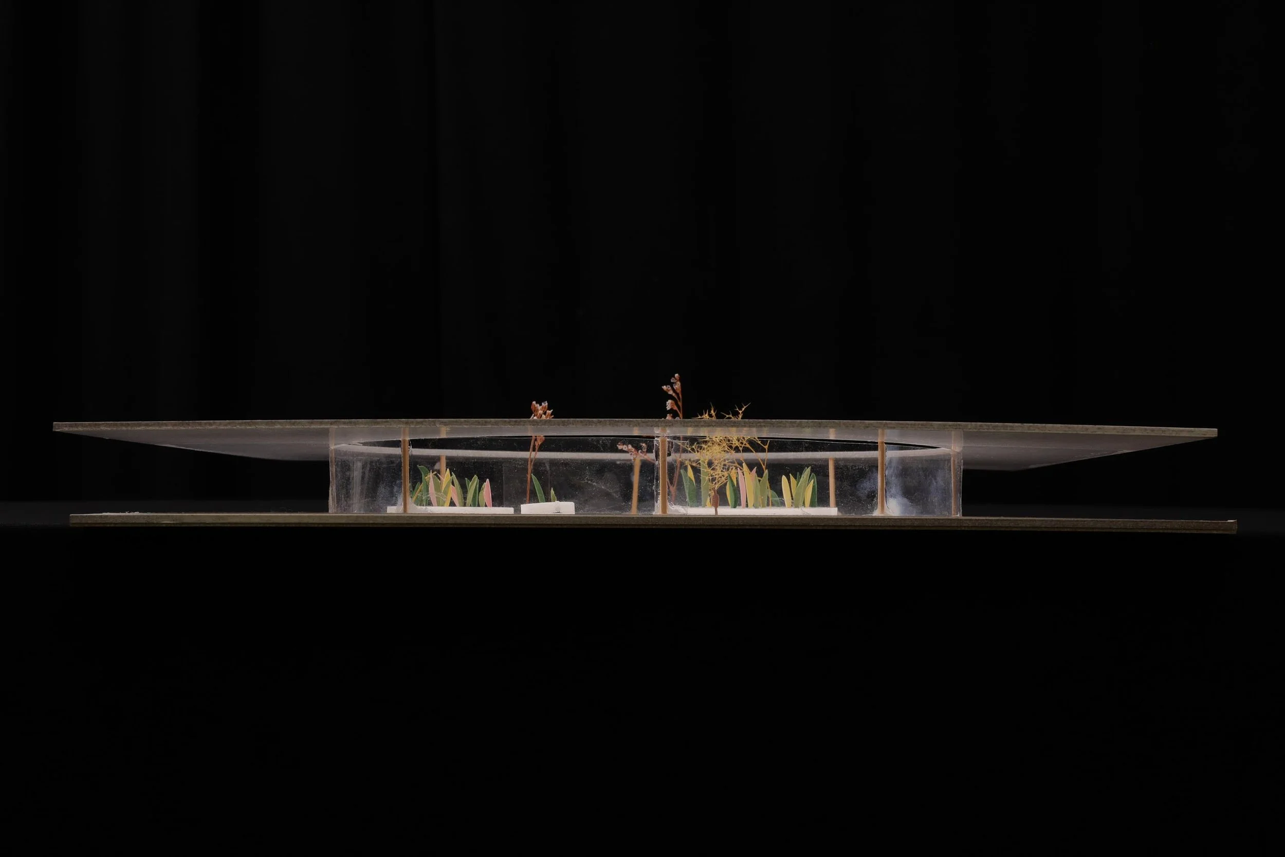 kantonsschule stein (2 of 10).jpg