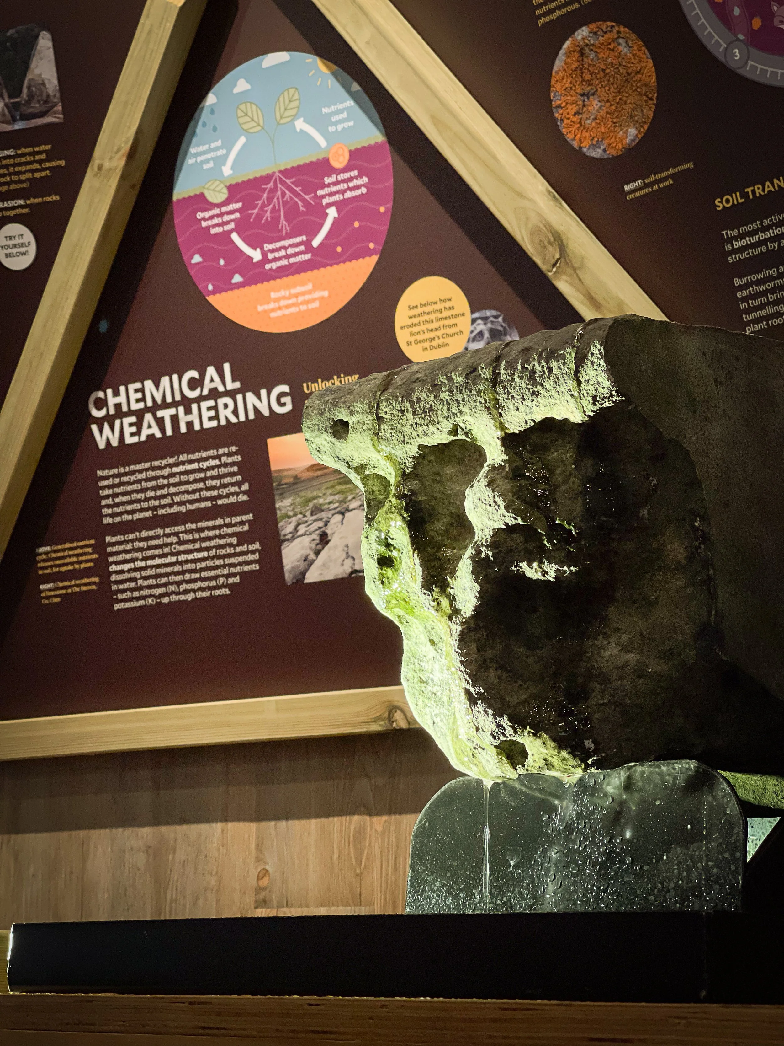 WorldOfSoil-23 2.JPG