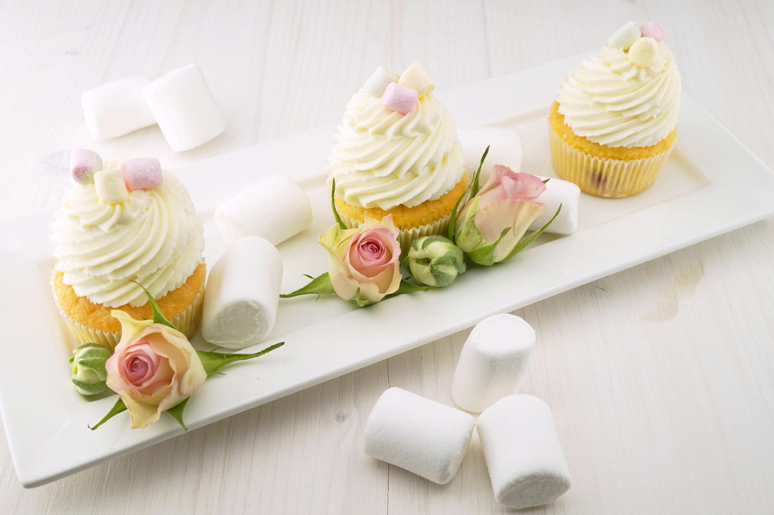 Cupcake 1.jpg
