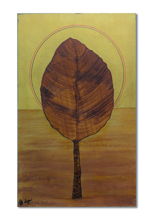 cm 30x24