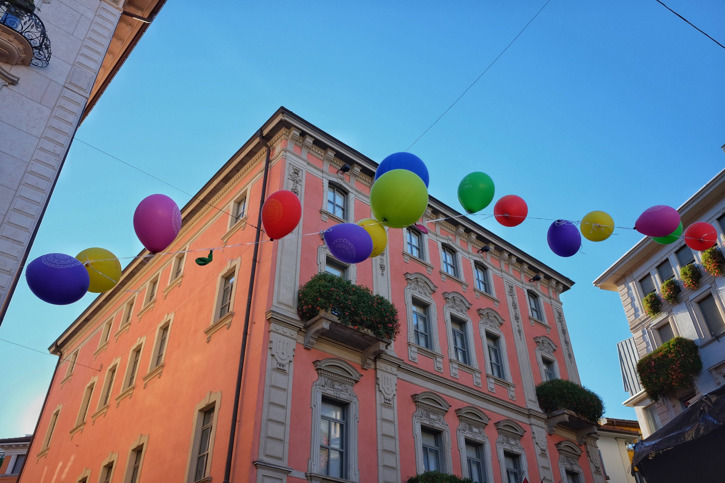 image_6483441-7.jpg